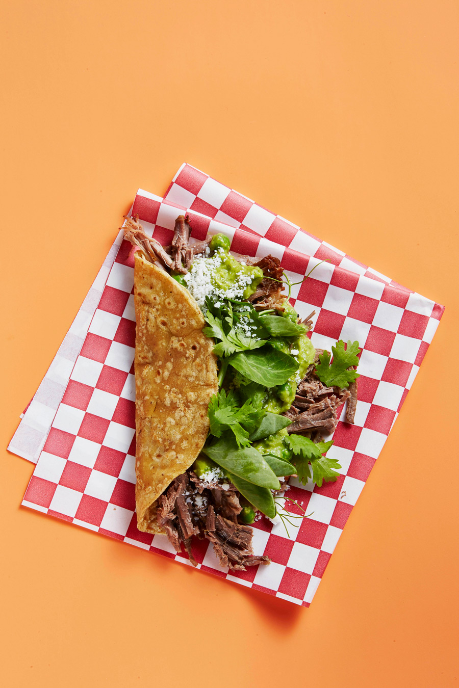 FoodFanatics-Spring201622211.jpg
