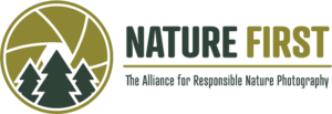 Nature First Logo