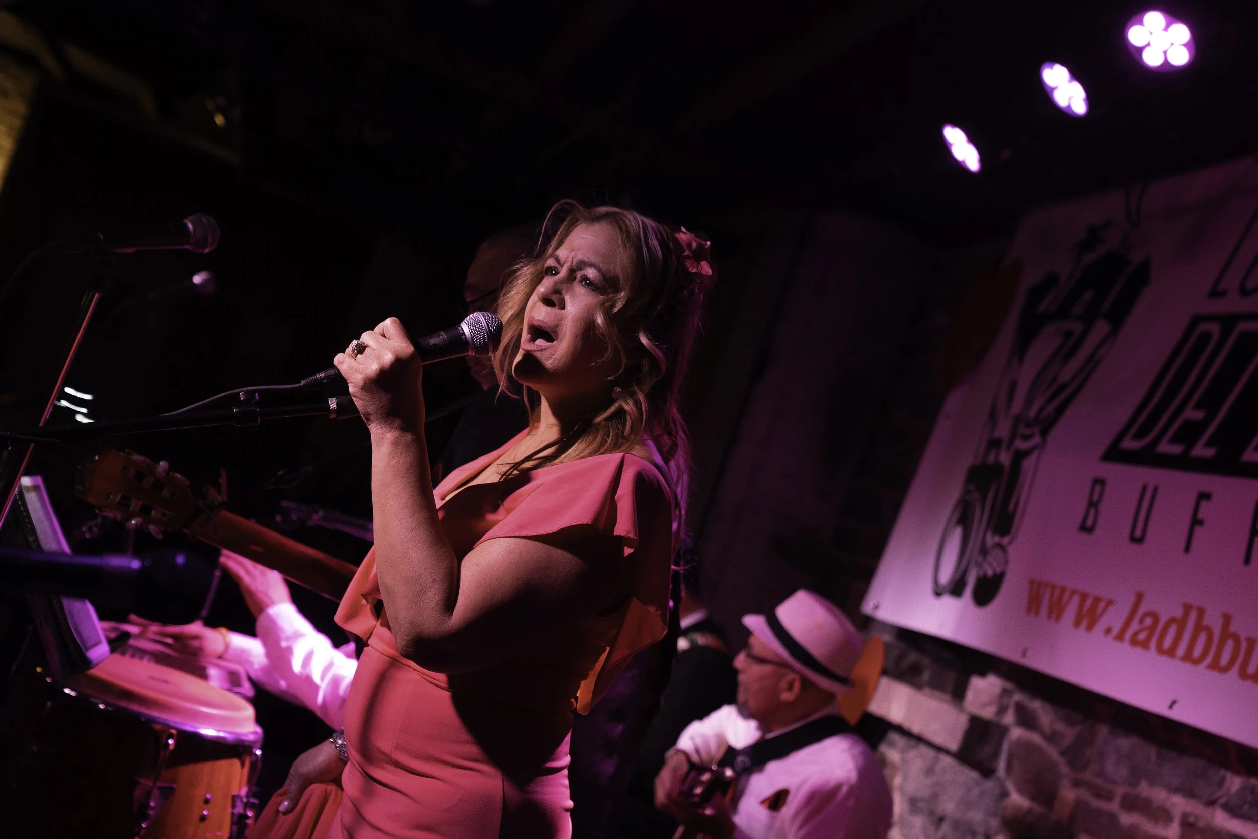 Brendan bannon Los Artistas Del Barrio Buffalo-00200.JPG