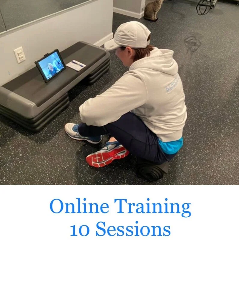 Online Training - 10 Sessions