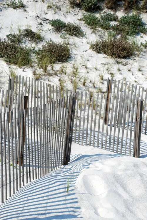 Dunes on 30A near Seagrove Beach, FL