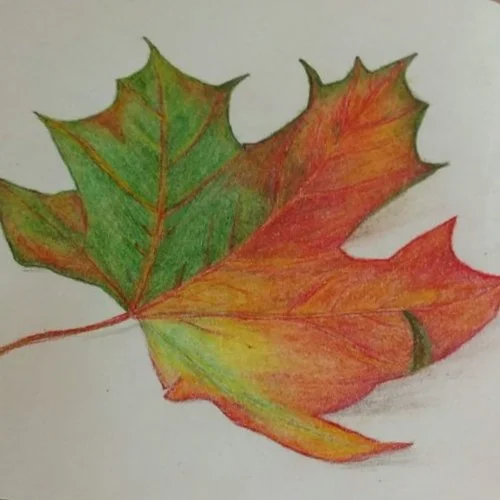 Prismacolor Leaf