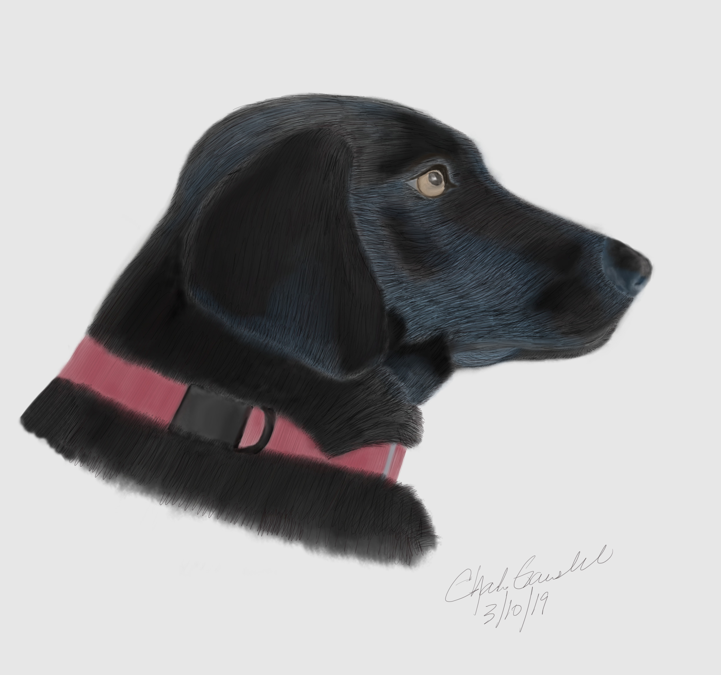 Sketch - Maddie