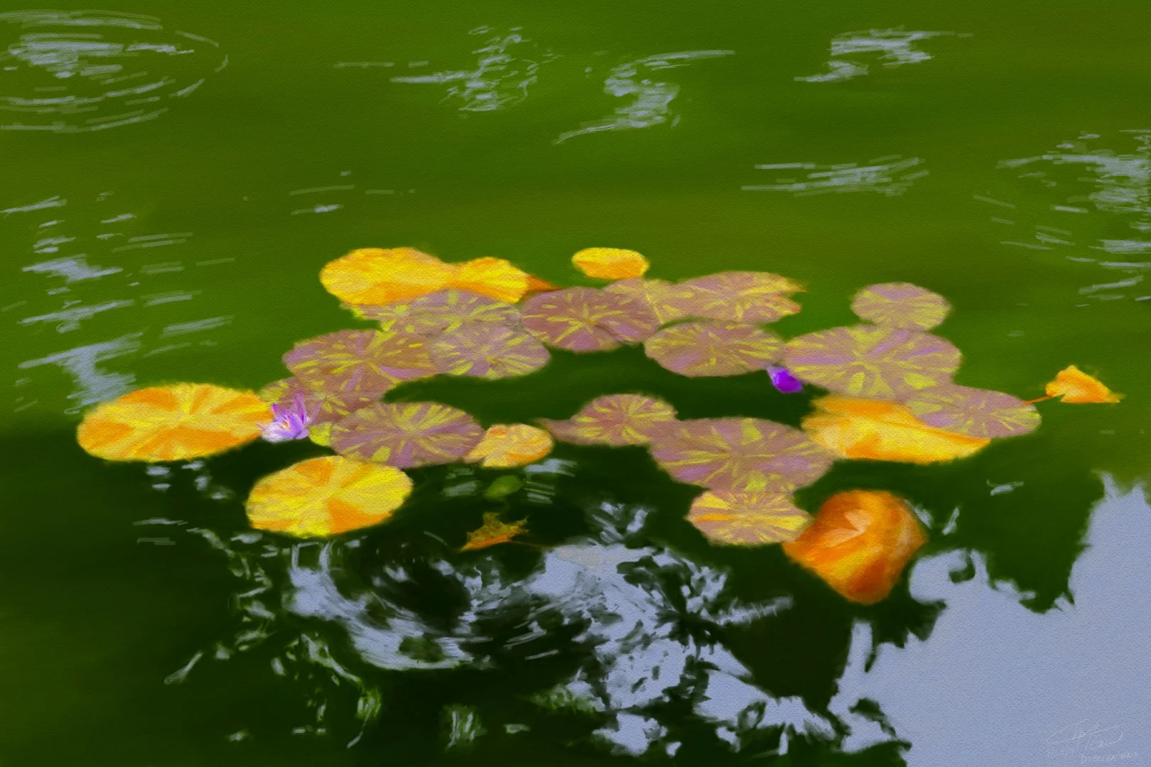 Sketch - Dixon Gallery & Gardens