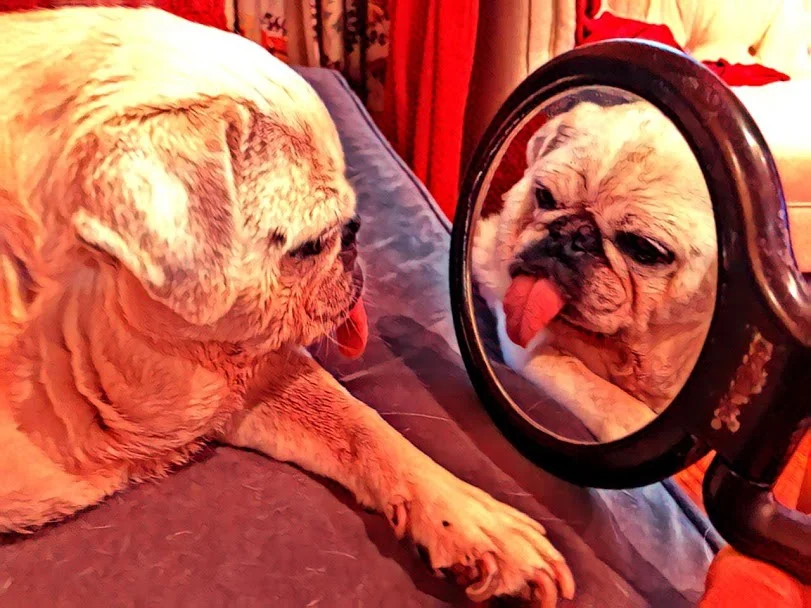 A haiku addressed to a man who looks very similar to me