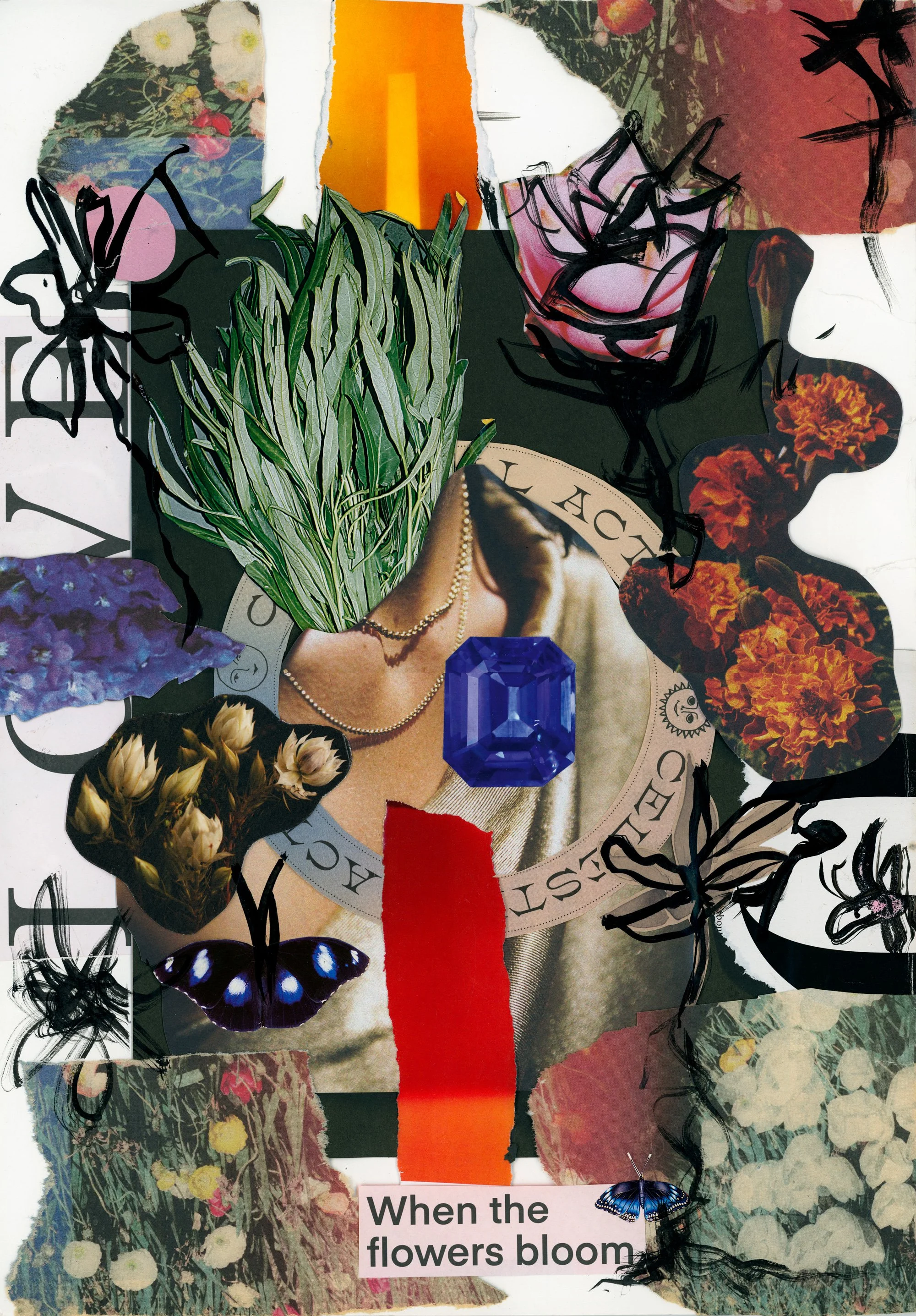 WHEN THE FLOWERS BLOOM