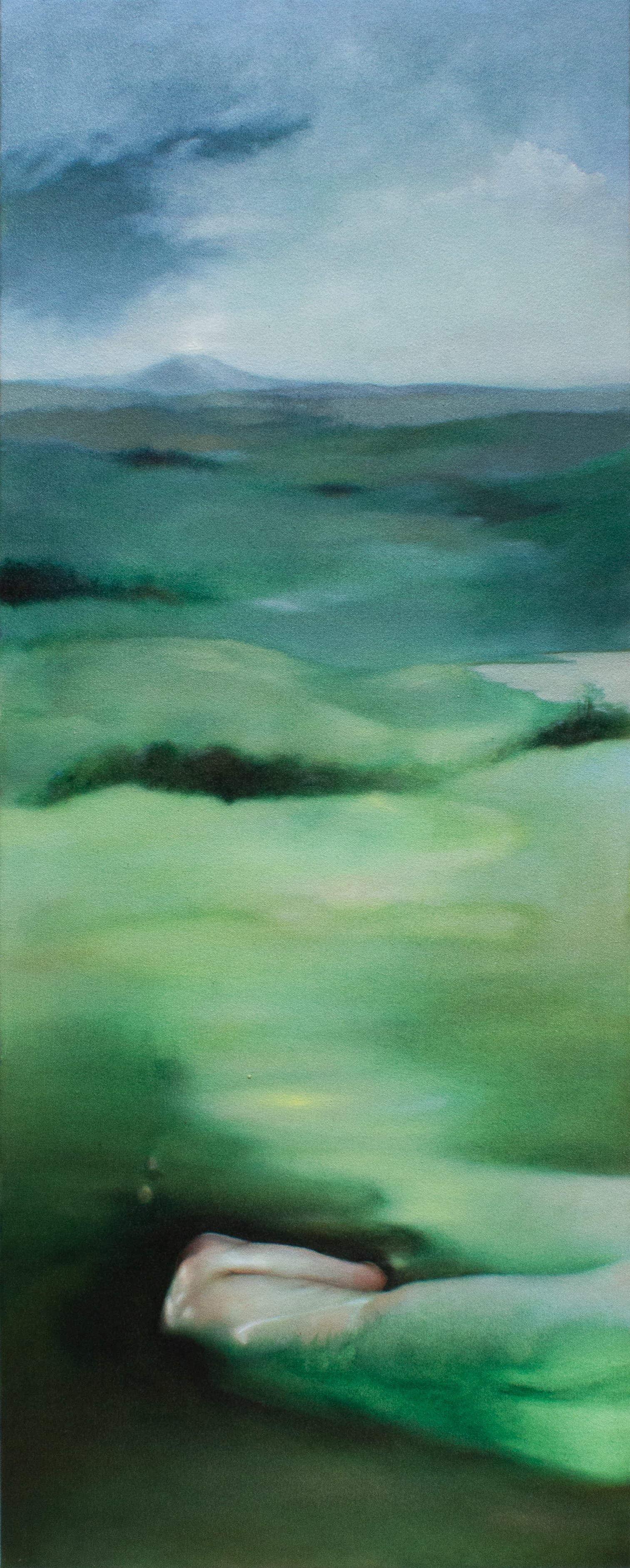 Disappearing at the tail end Crop.jpg