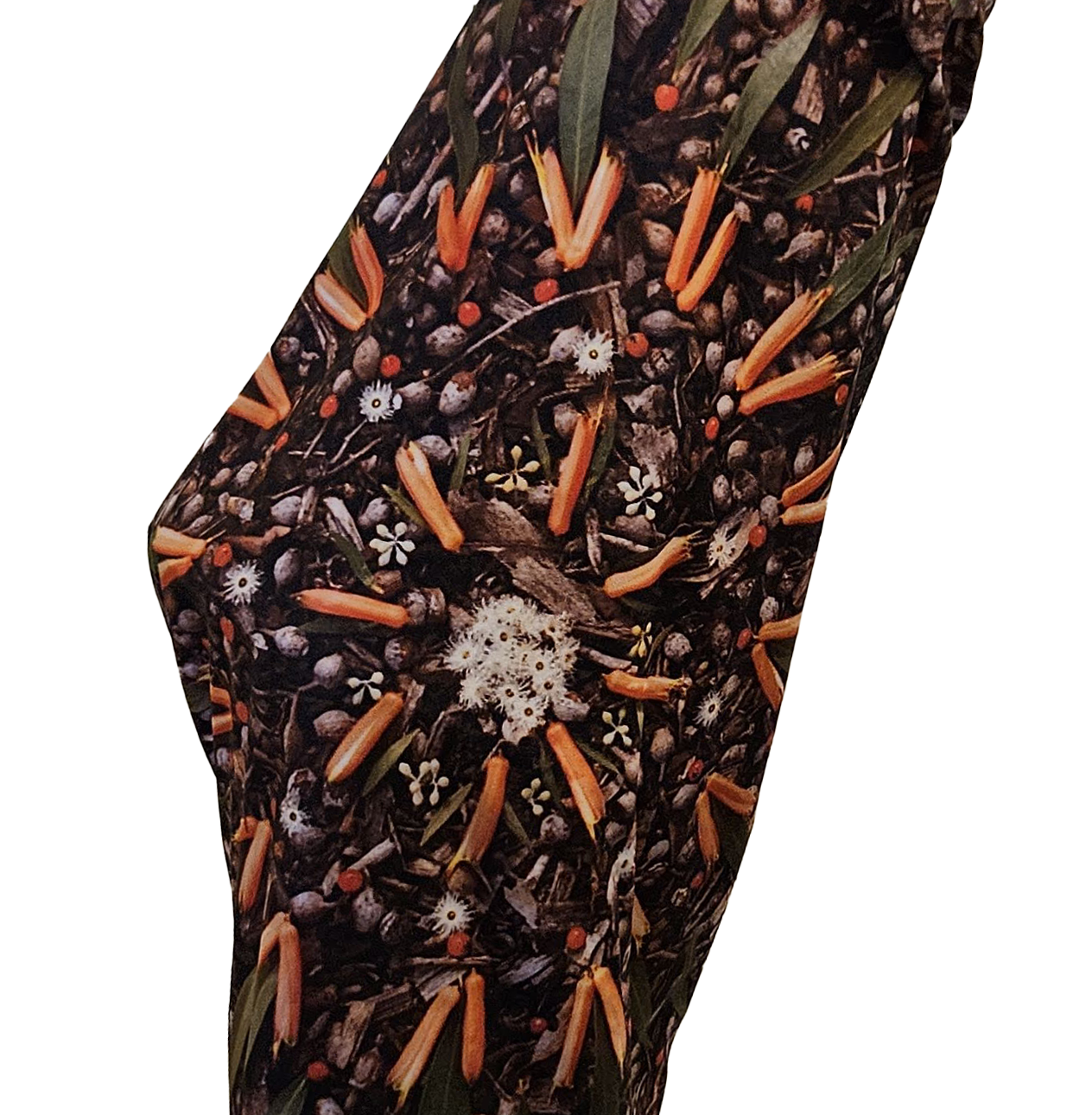 E_West - Disjointed, cropped.png