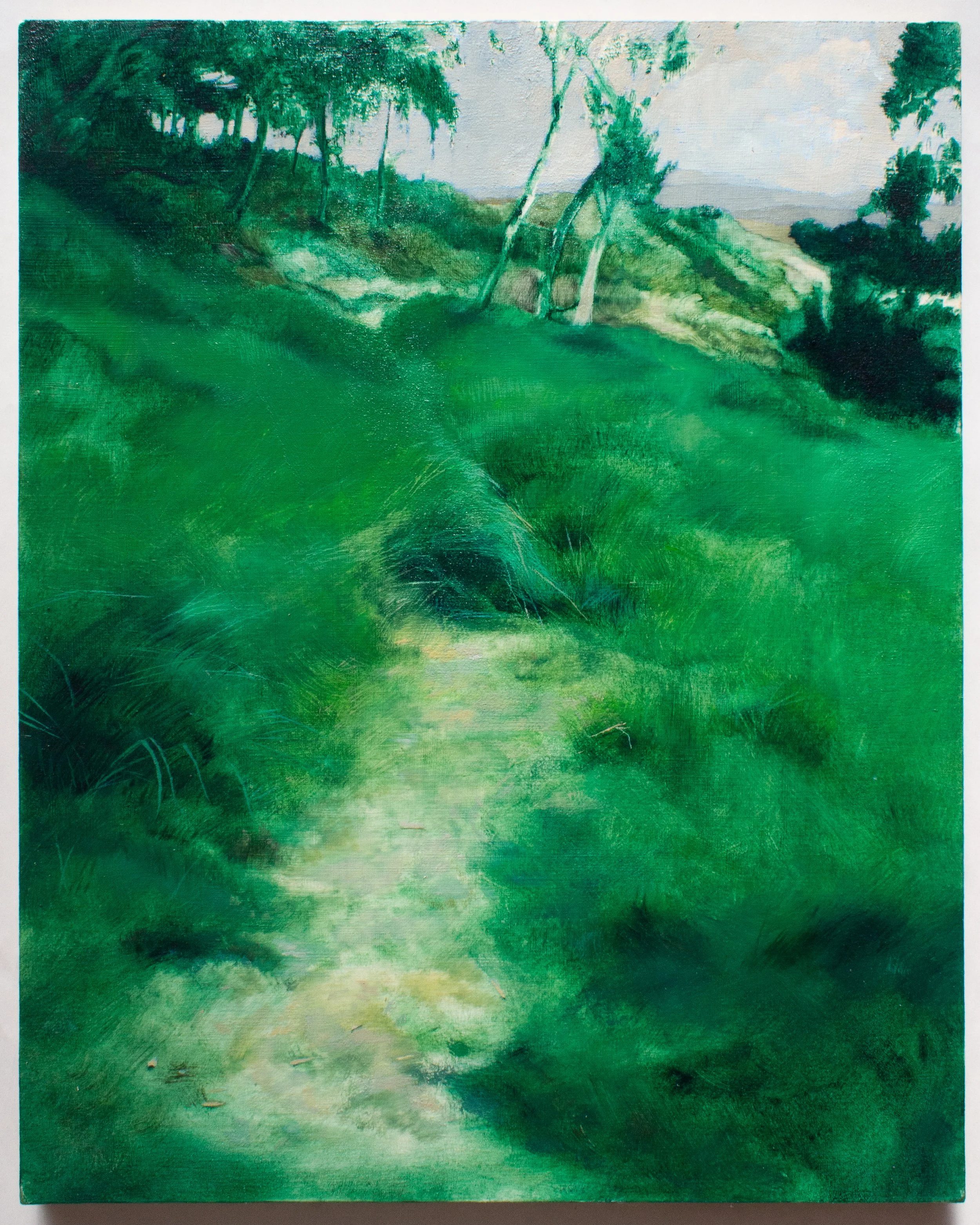 Desire Line Crop.jpg