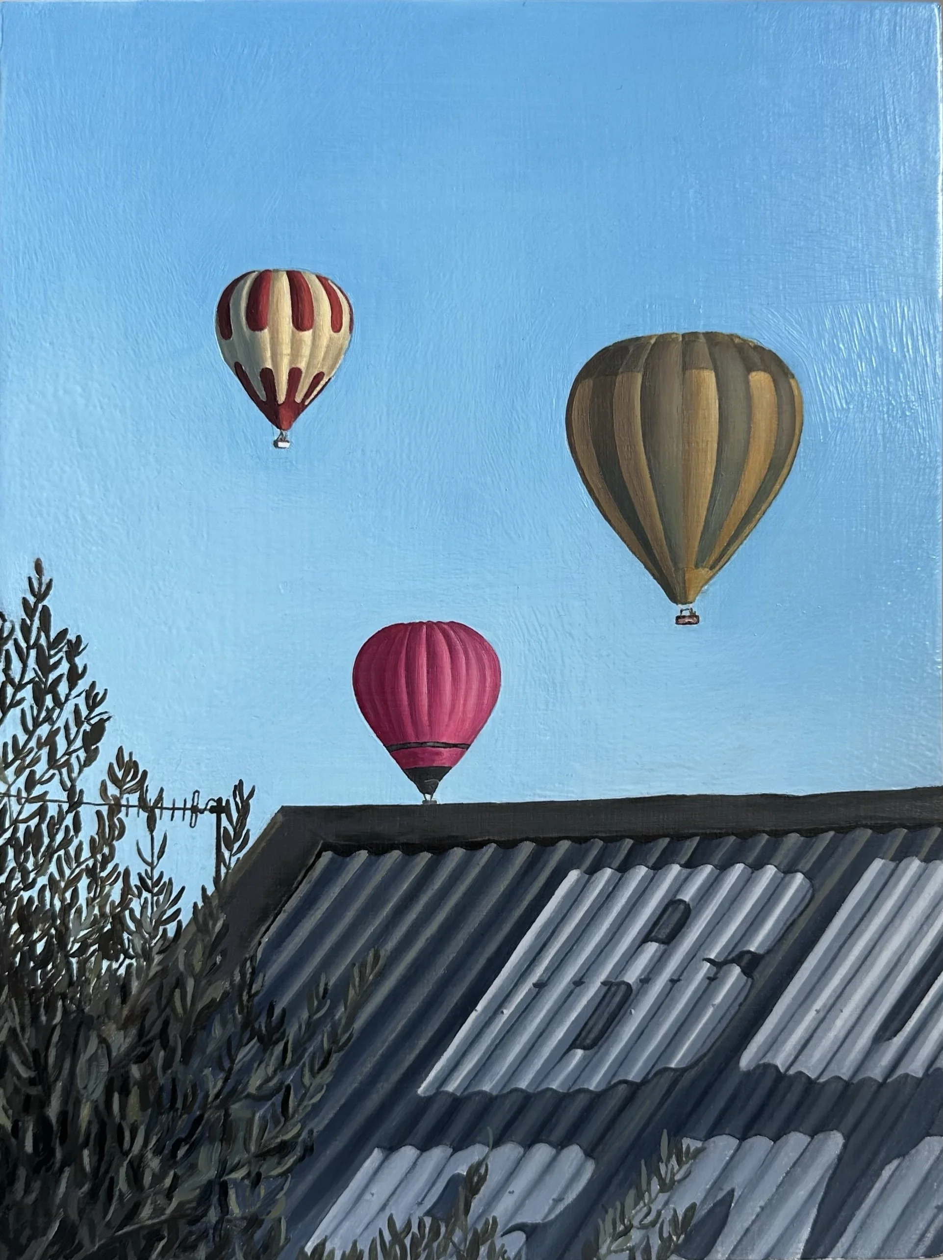 NatalieDaskalou_BalloonsOverBurnleyBackyard.jpg