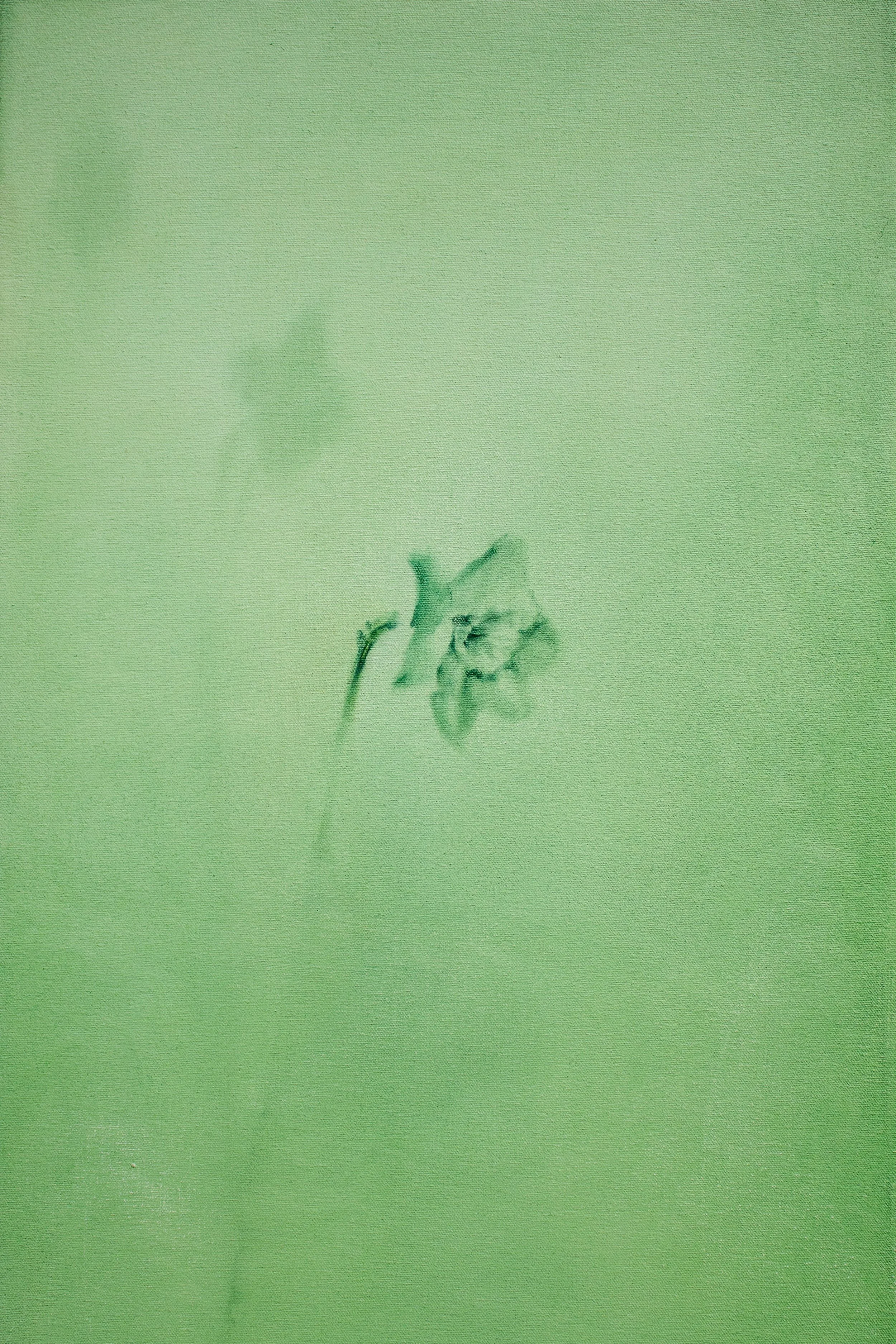 Echo Sentinel Crop.jpg