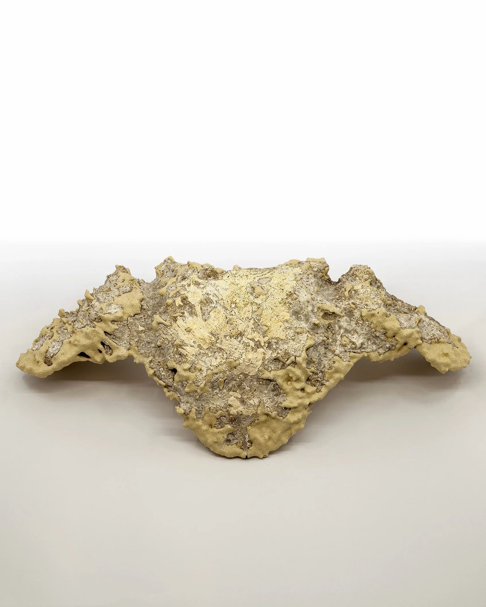 Aland razaghi, Hypersensitive Reshi Pauldrons, Wood pla, Reshi Mycelium, 50cm x 20cm x 16cm, 2025, $500