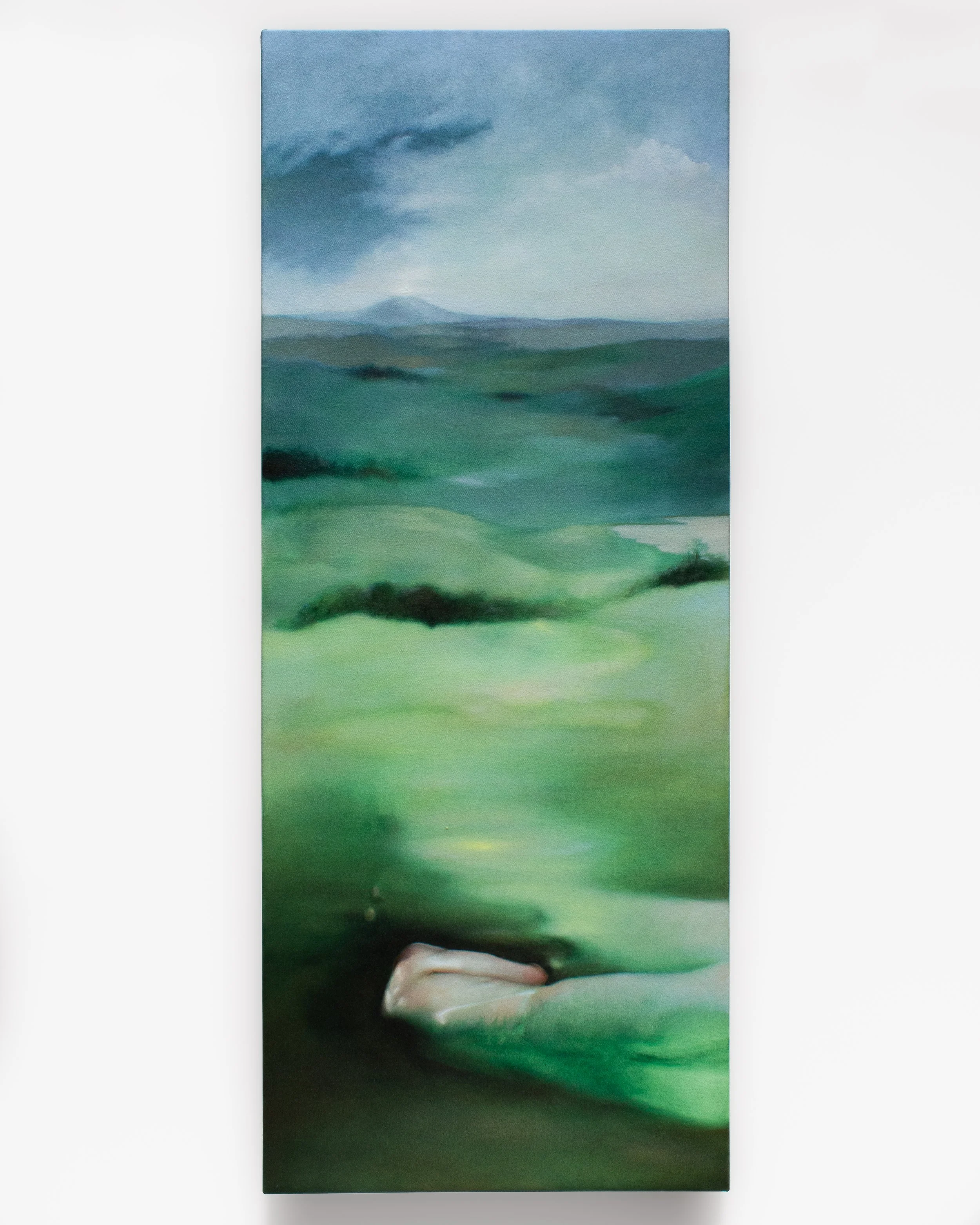 Disappearing at the tail end.jpg