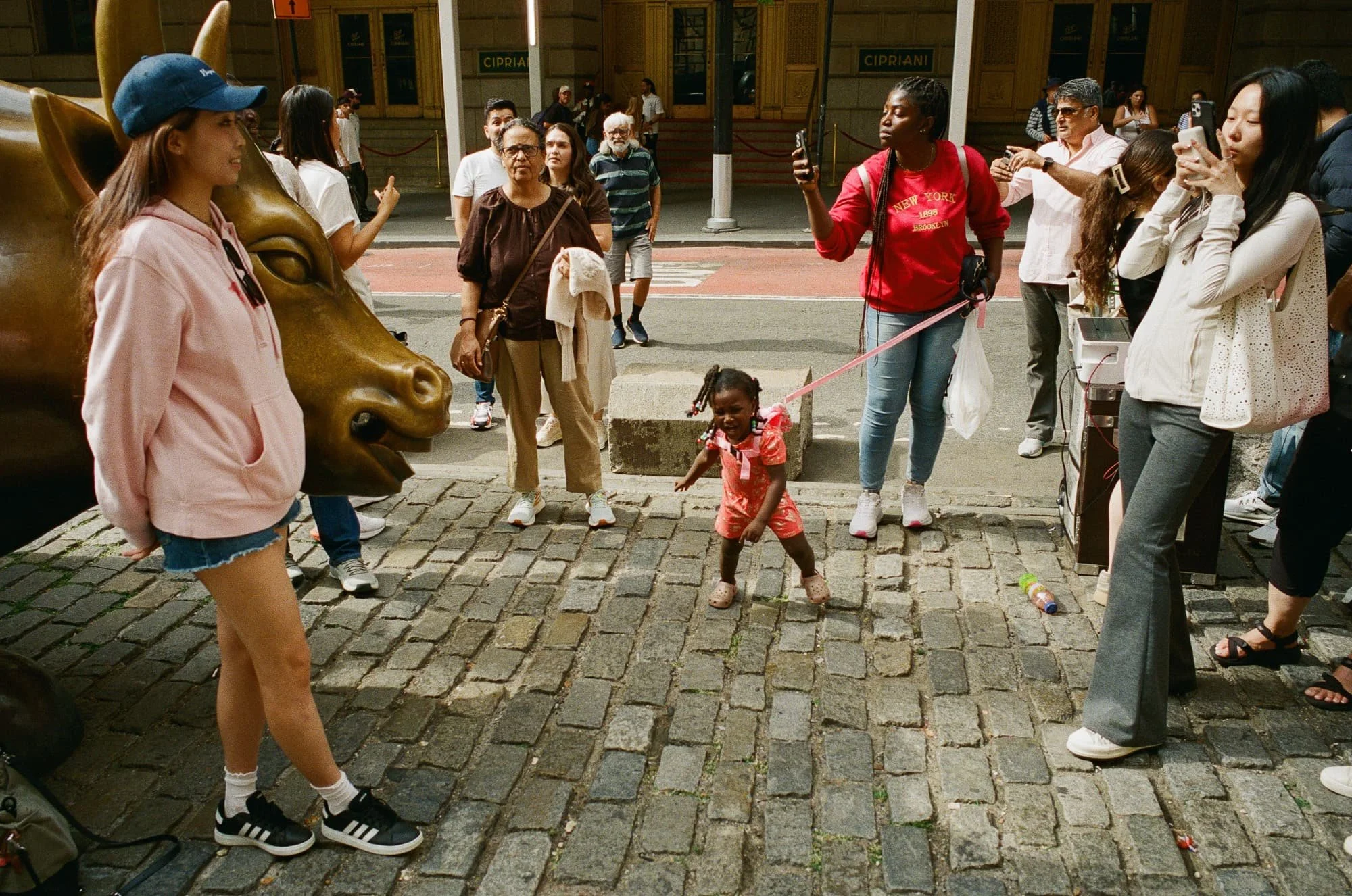 Charging Bull, 2025