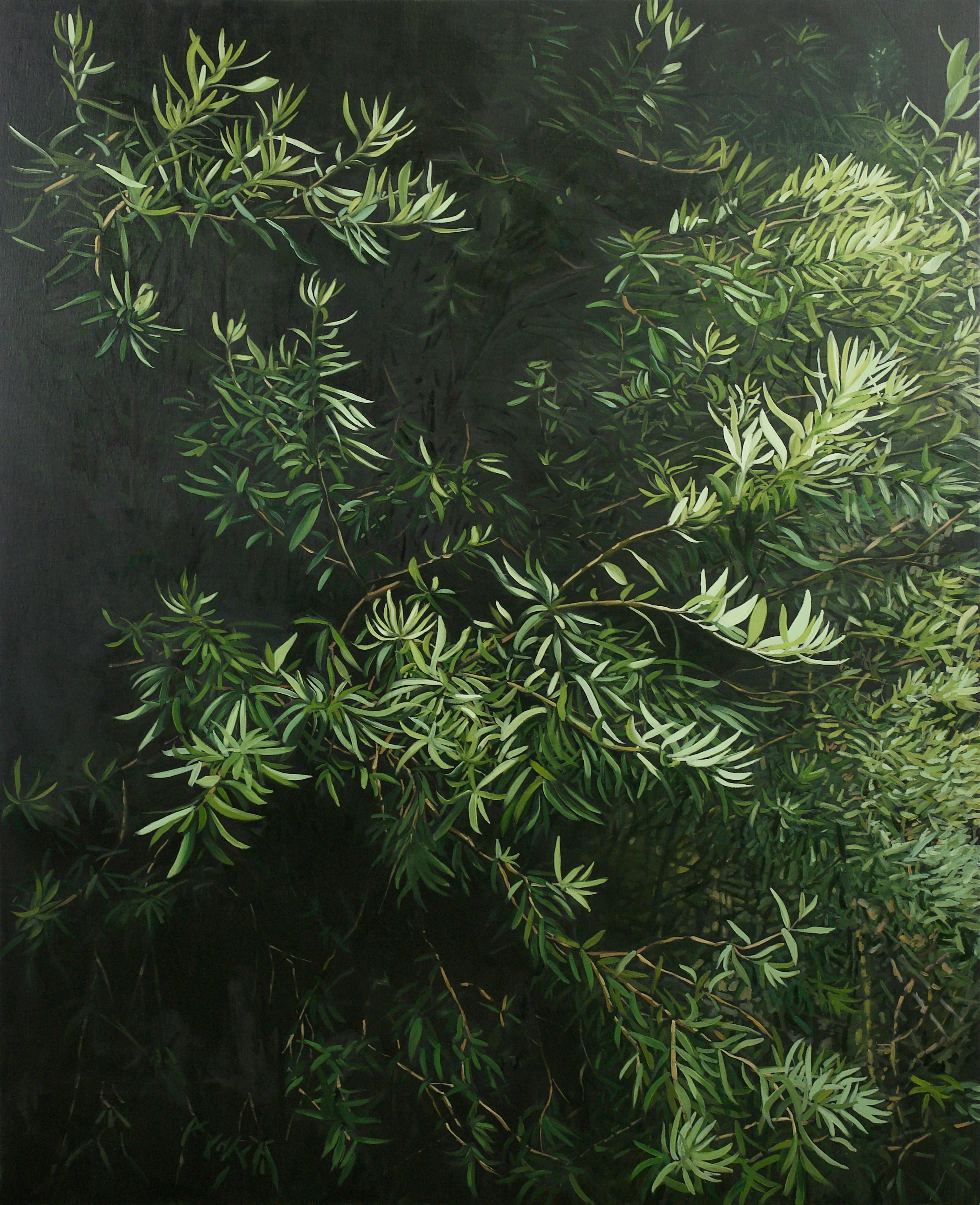 Ben Liney, The Quiet Canopy