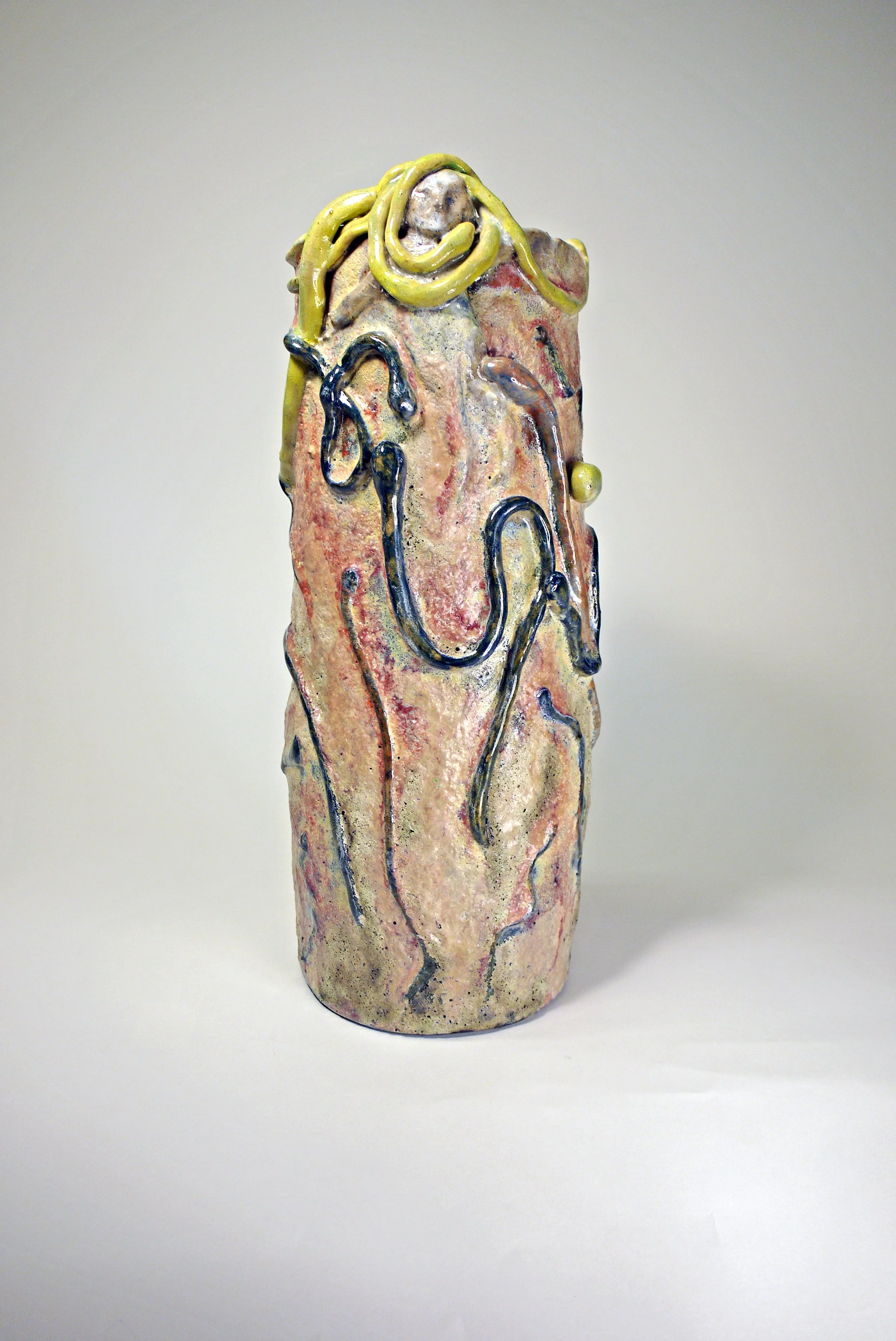 Snakes On A Vase