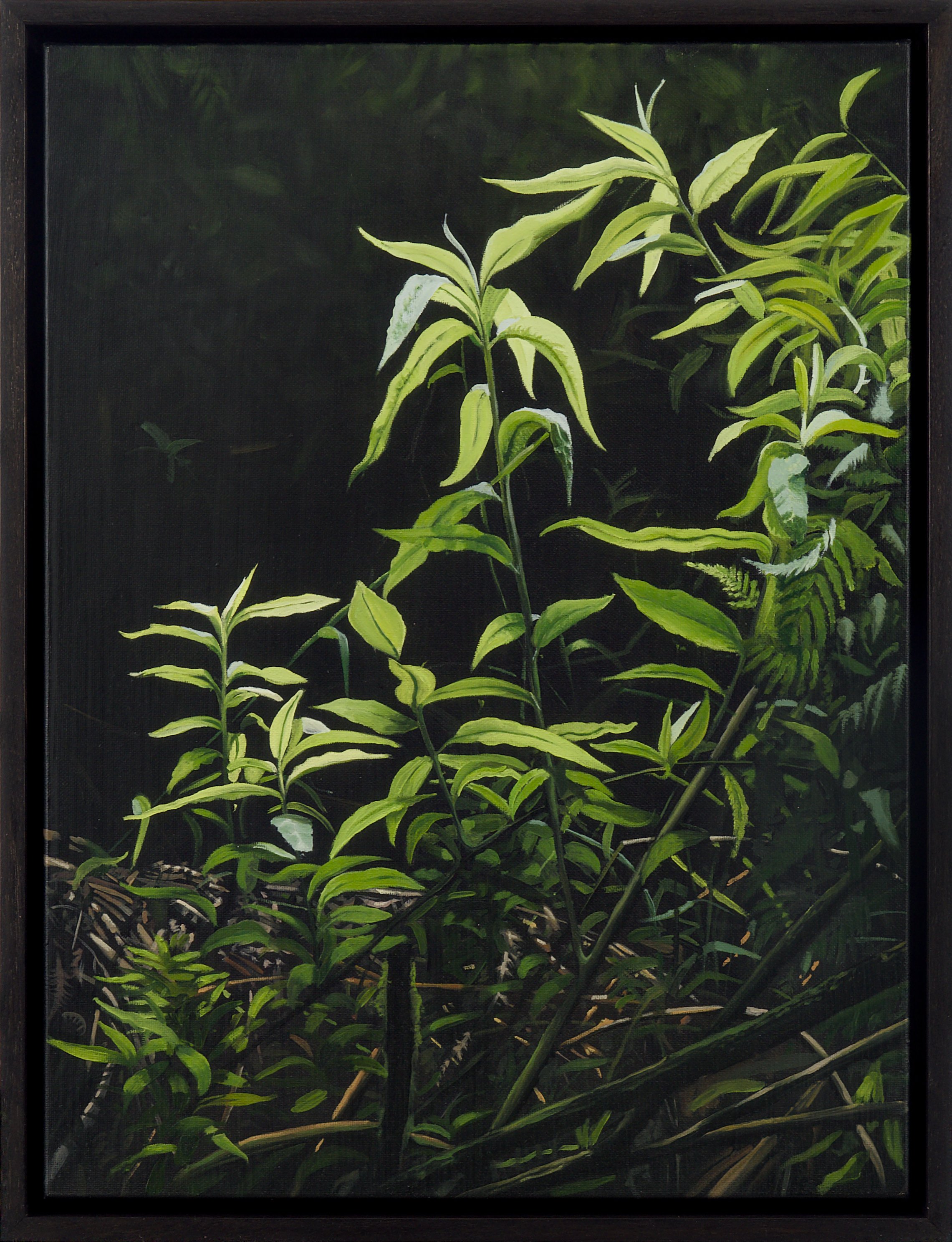 Ben Liney, Emergent