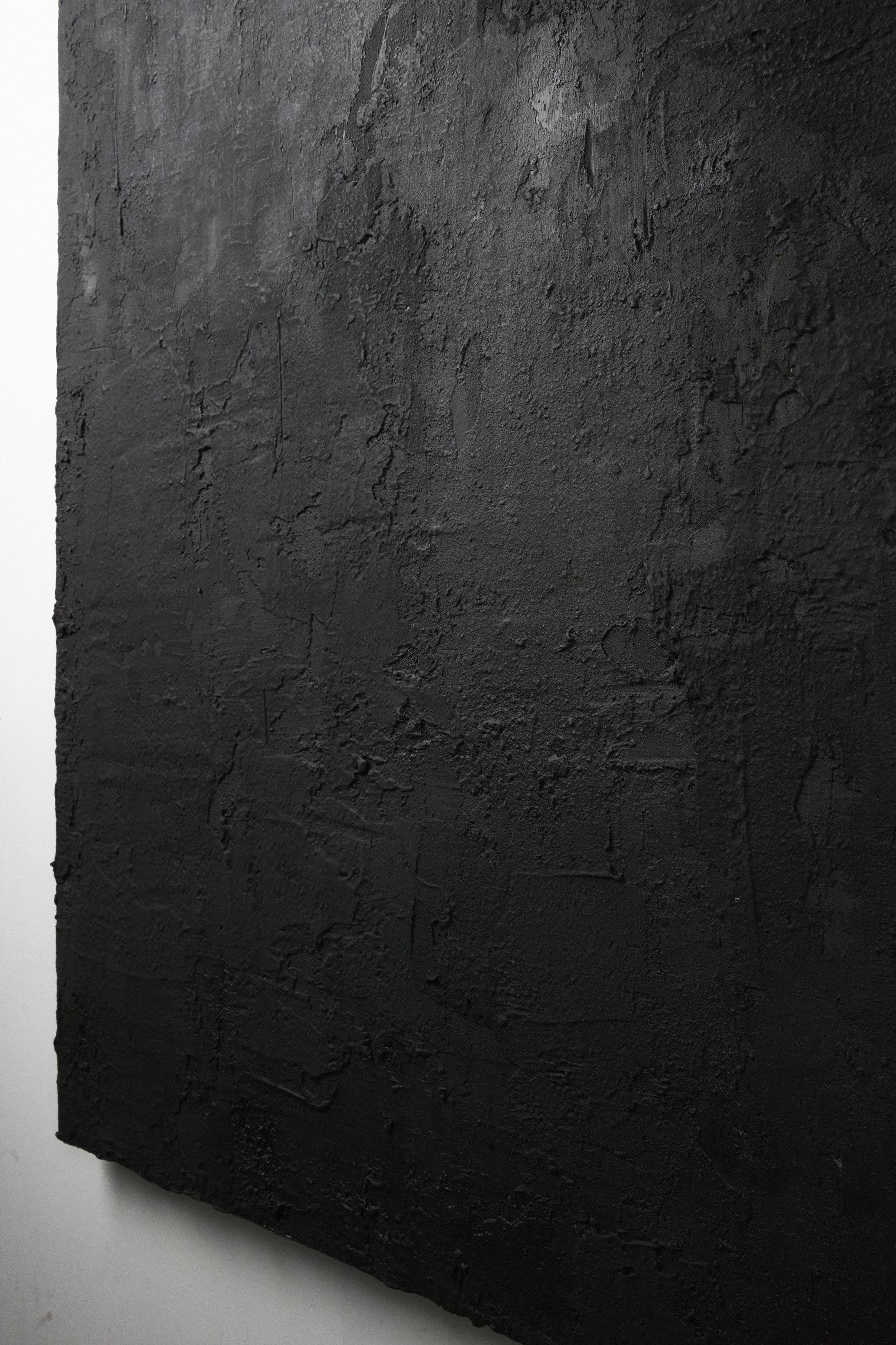 REMA PTH crop 4.jpg