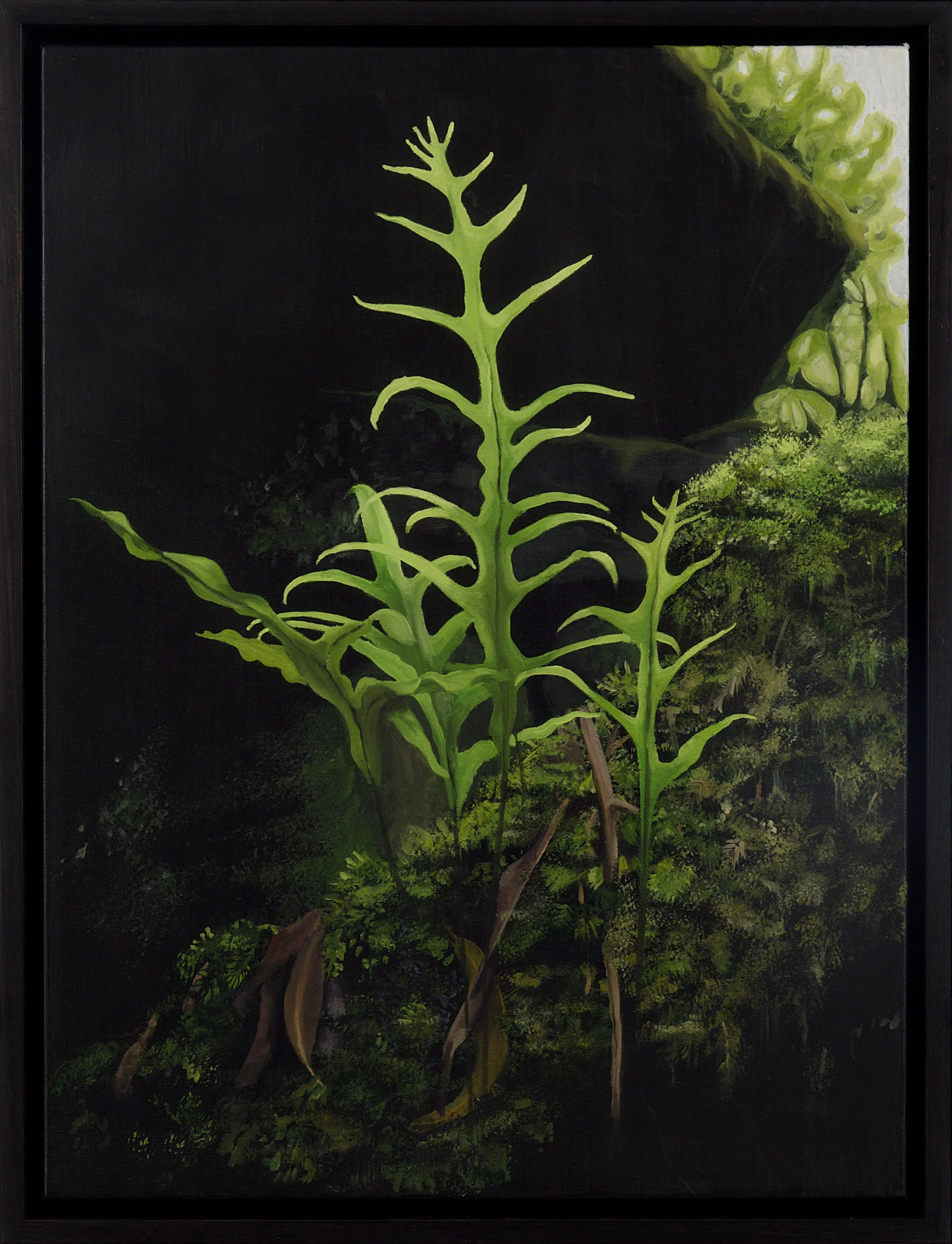 BenLiney_Radiant Under_Oil on canvas_40 x 30_$750.jpg