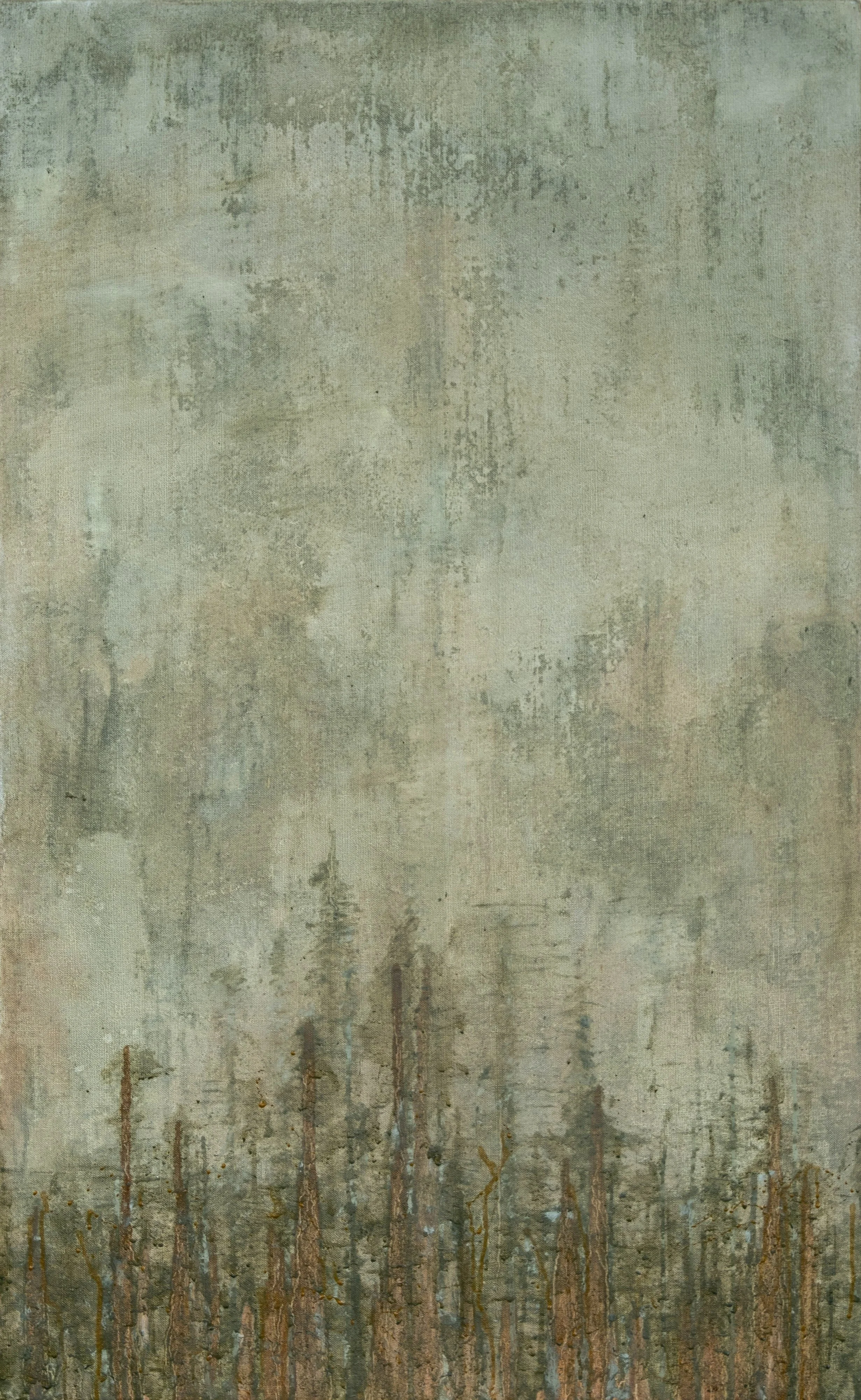 Forest Through Trees.jpg