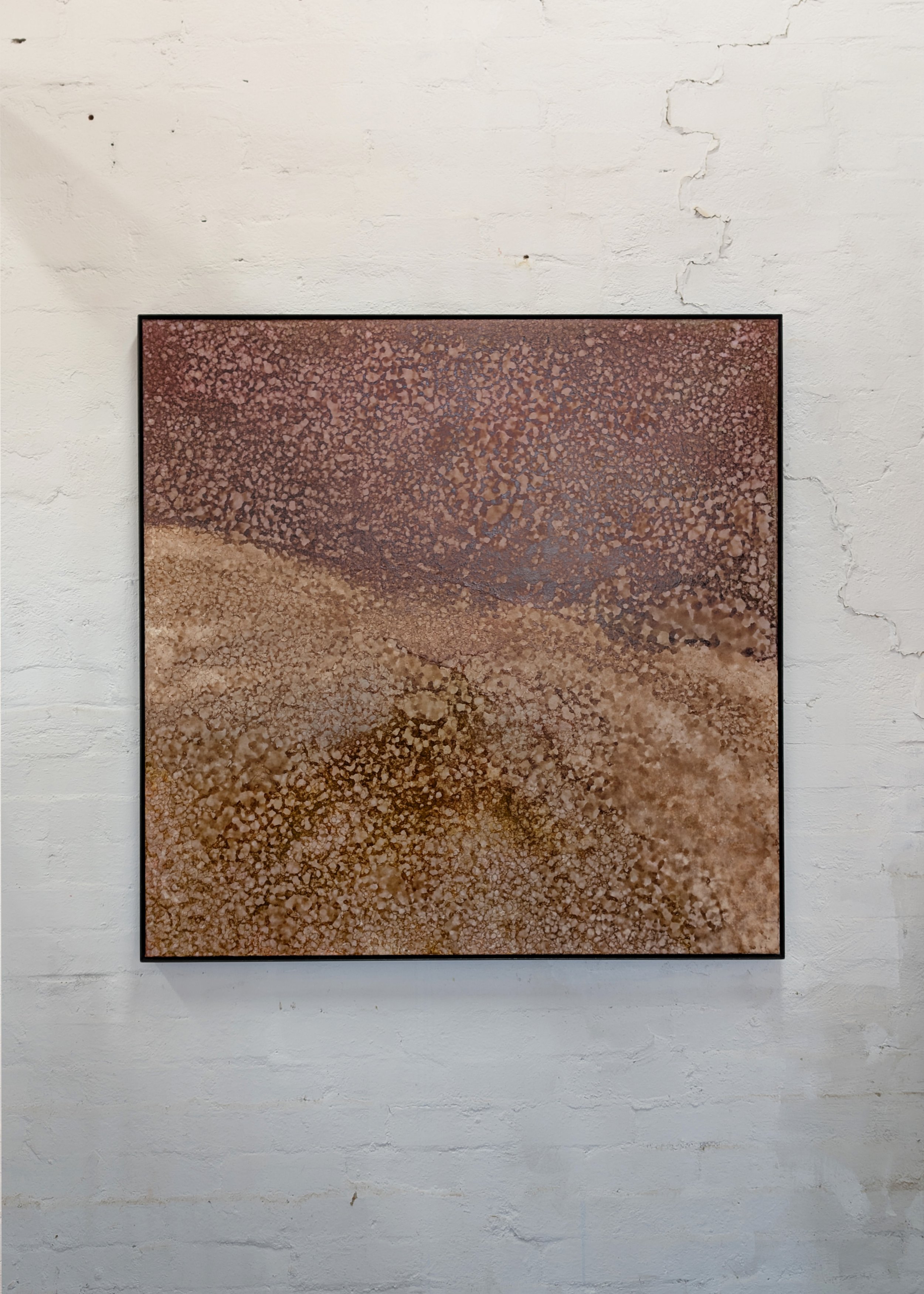 Broome 1217X1217.jpg
