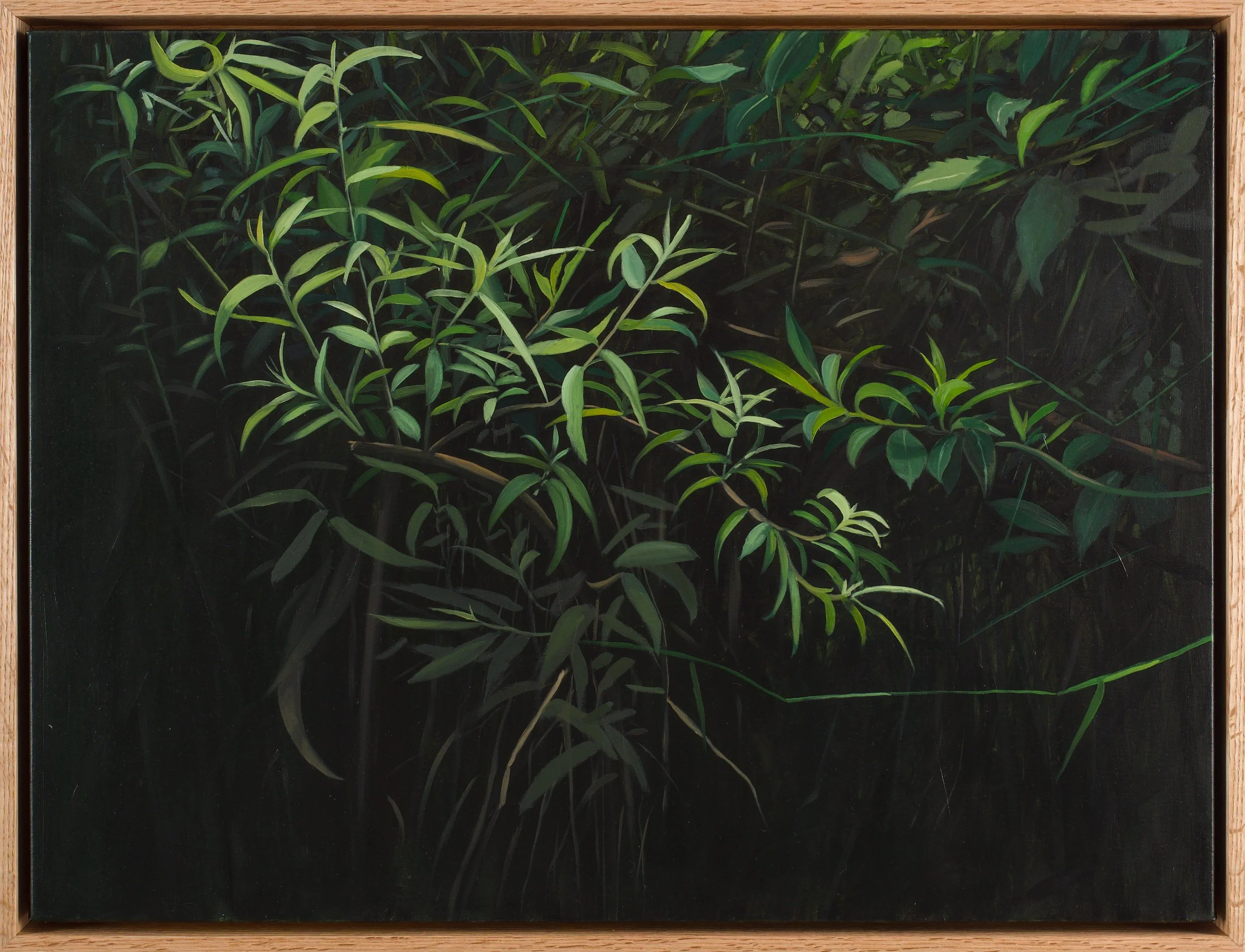 Ben Liney, Immersed