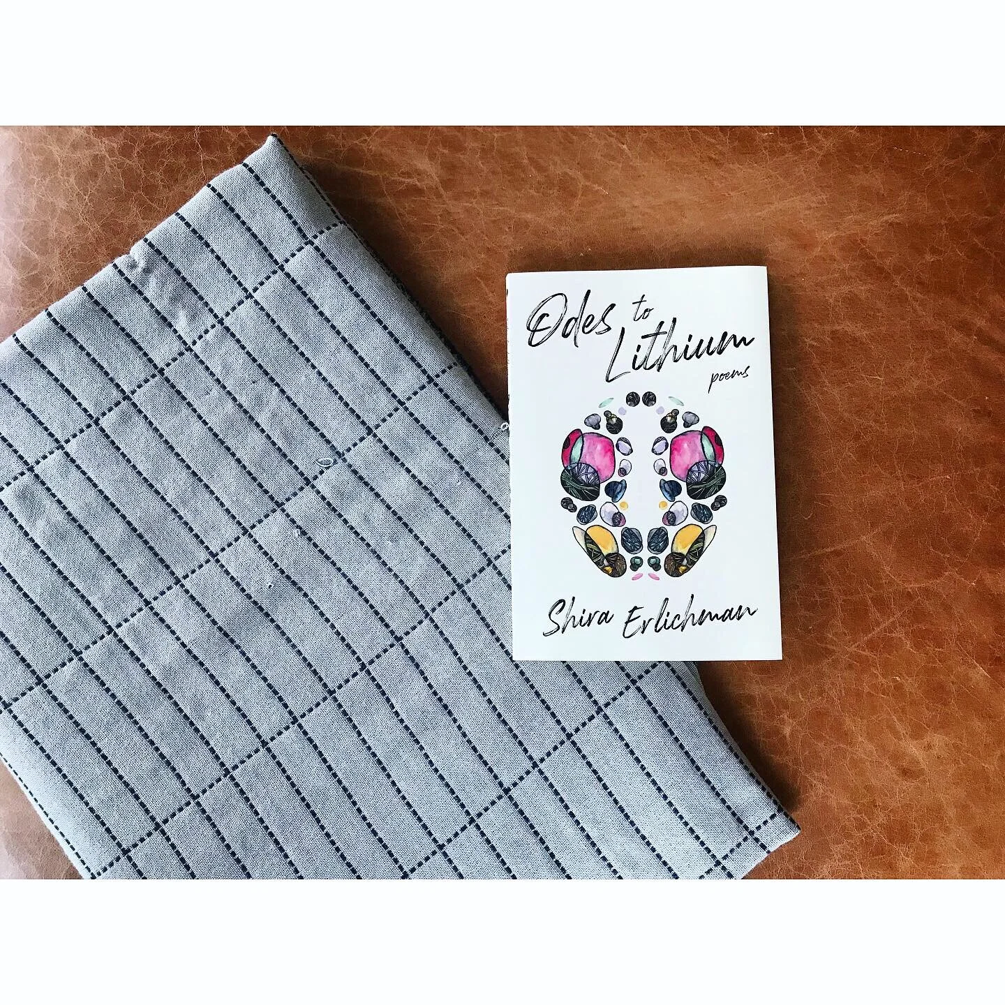 Shira Erlichman’s poetry collection ‘Odes to Lithium’ dissects side effects of mental illness