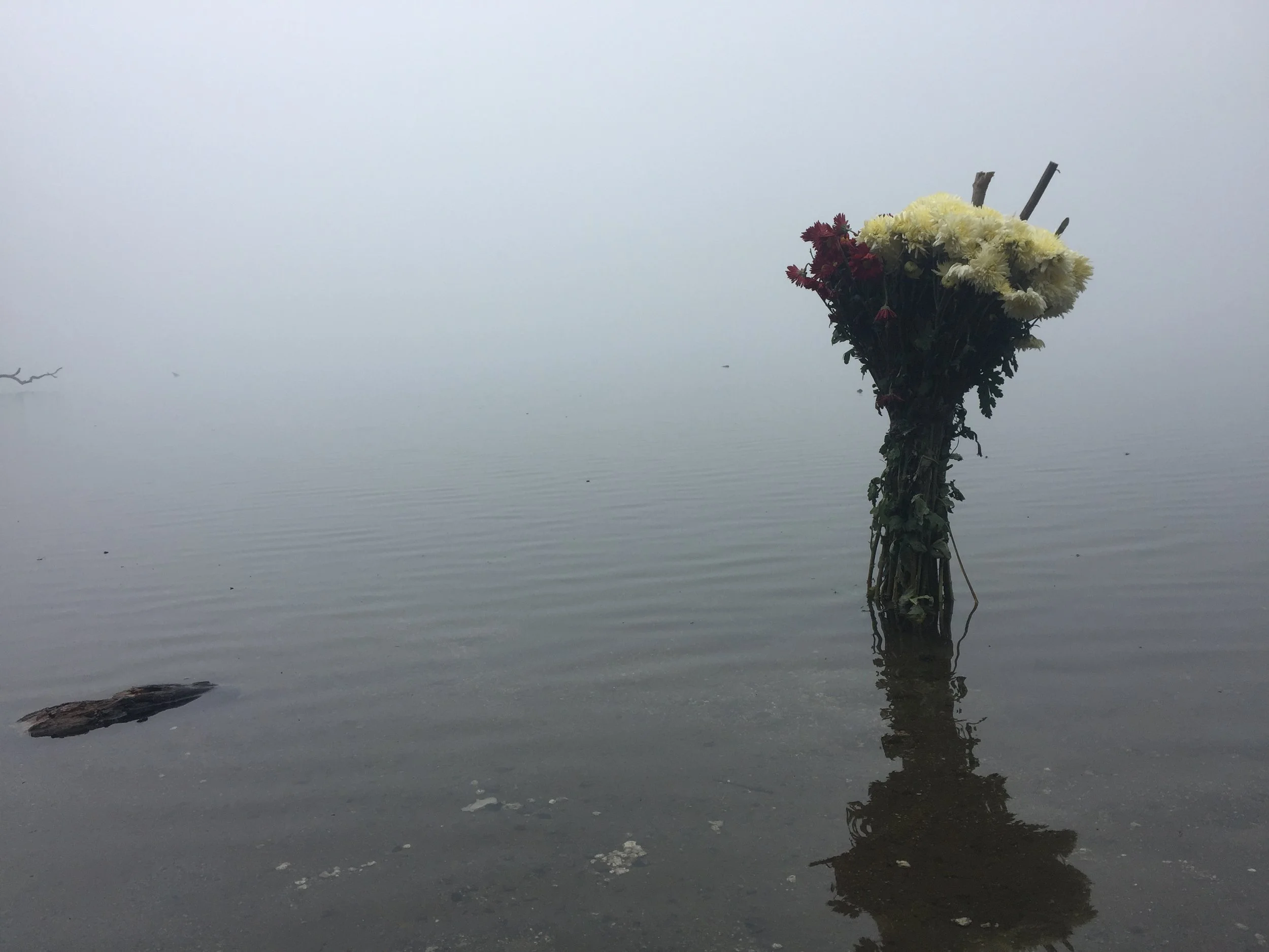 Flowers at the edge of the water at Laguna Chicobal. Several people there were worshiping when we arrived but asked that pictures not be taken of their ceremony.