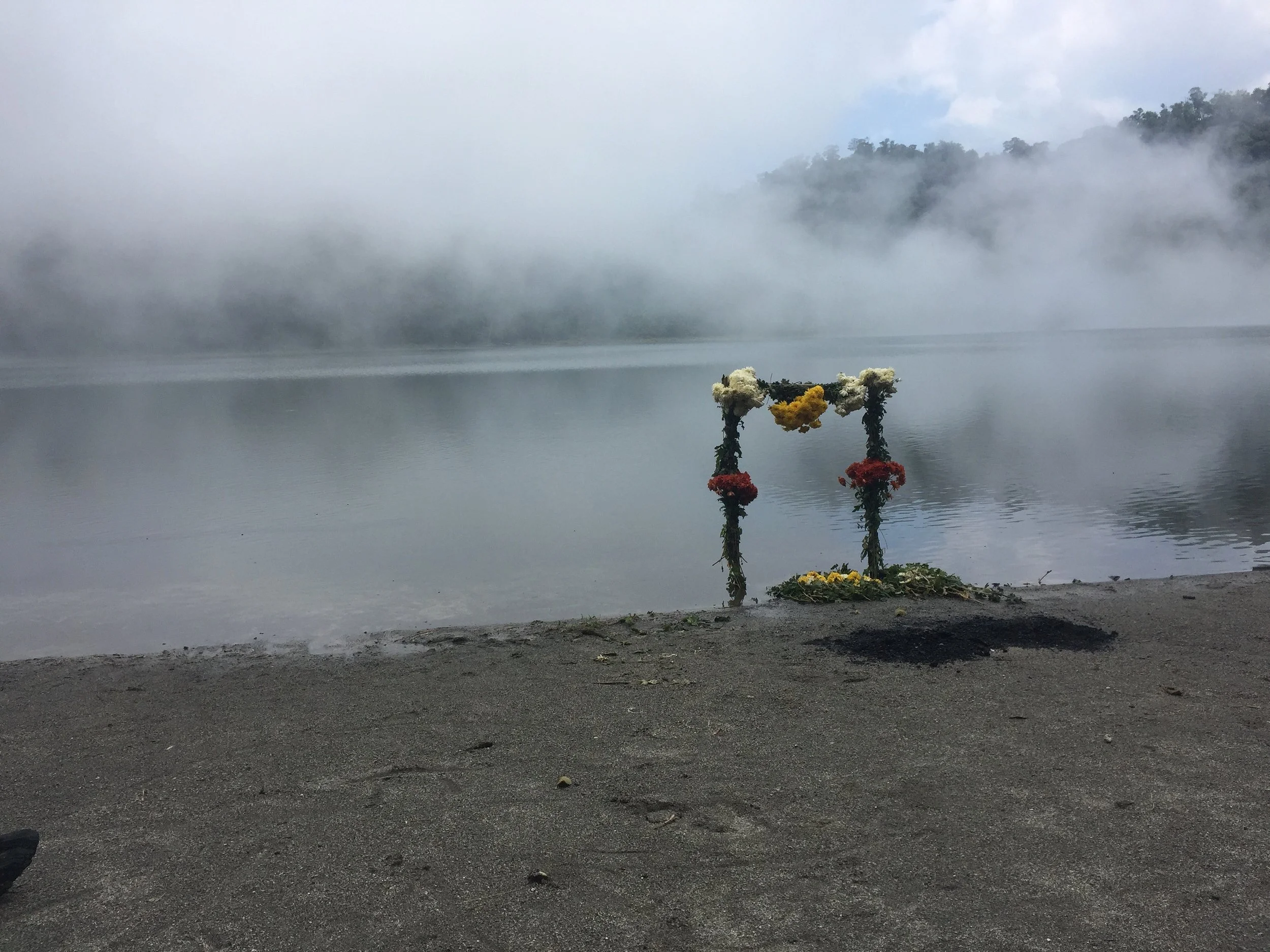 Flowers left by people at Laguna Chicobal. This lake is a sacred site for Mayans and there are flowers like this one all around the edge of the lake.