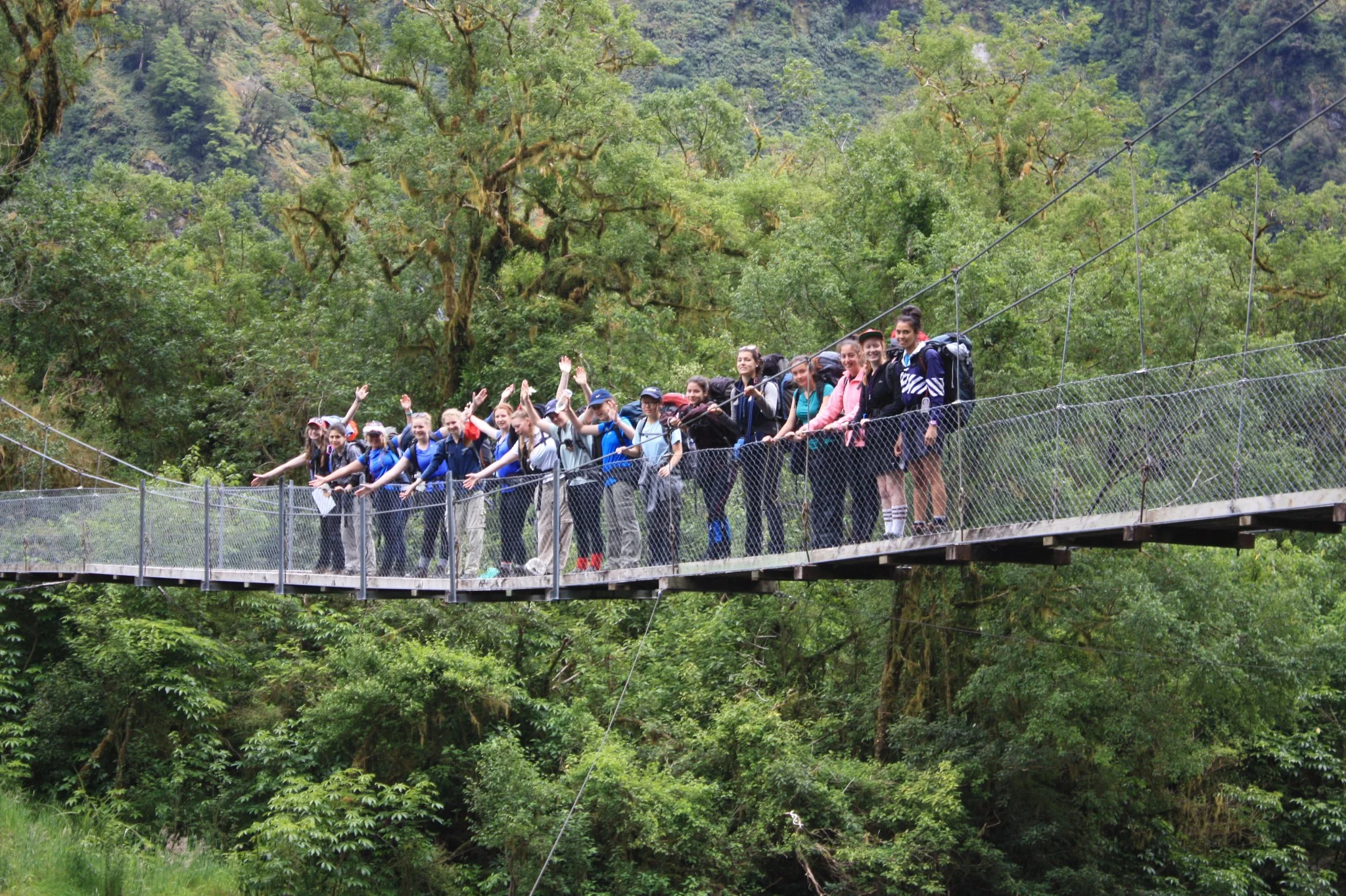 bridge_forest.jpg
