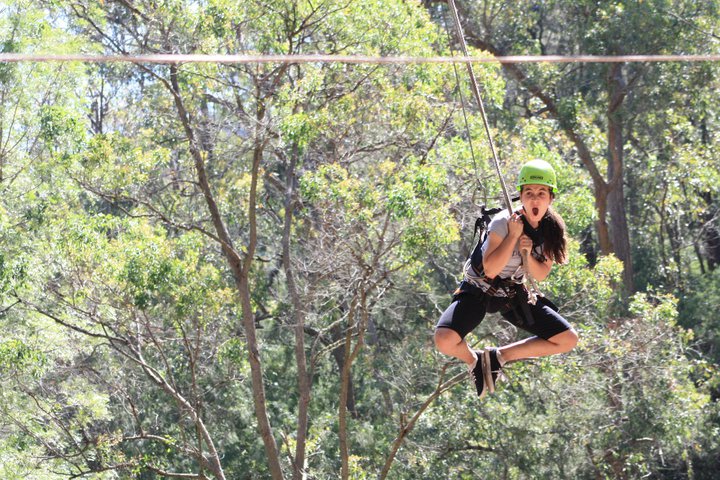 flying_fox.jpg