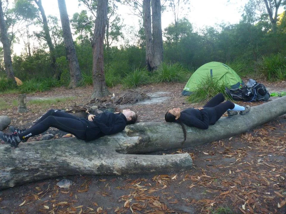 log_lying.jpg