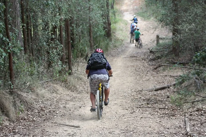 mountain_biking.jpg