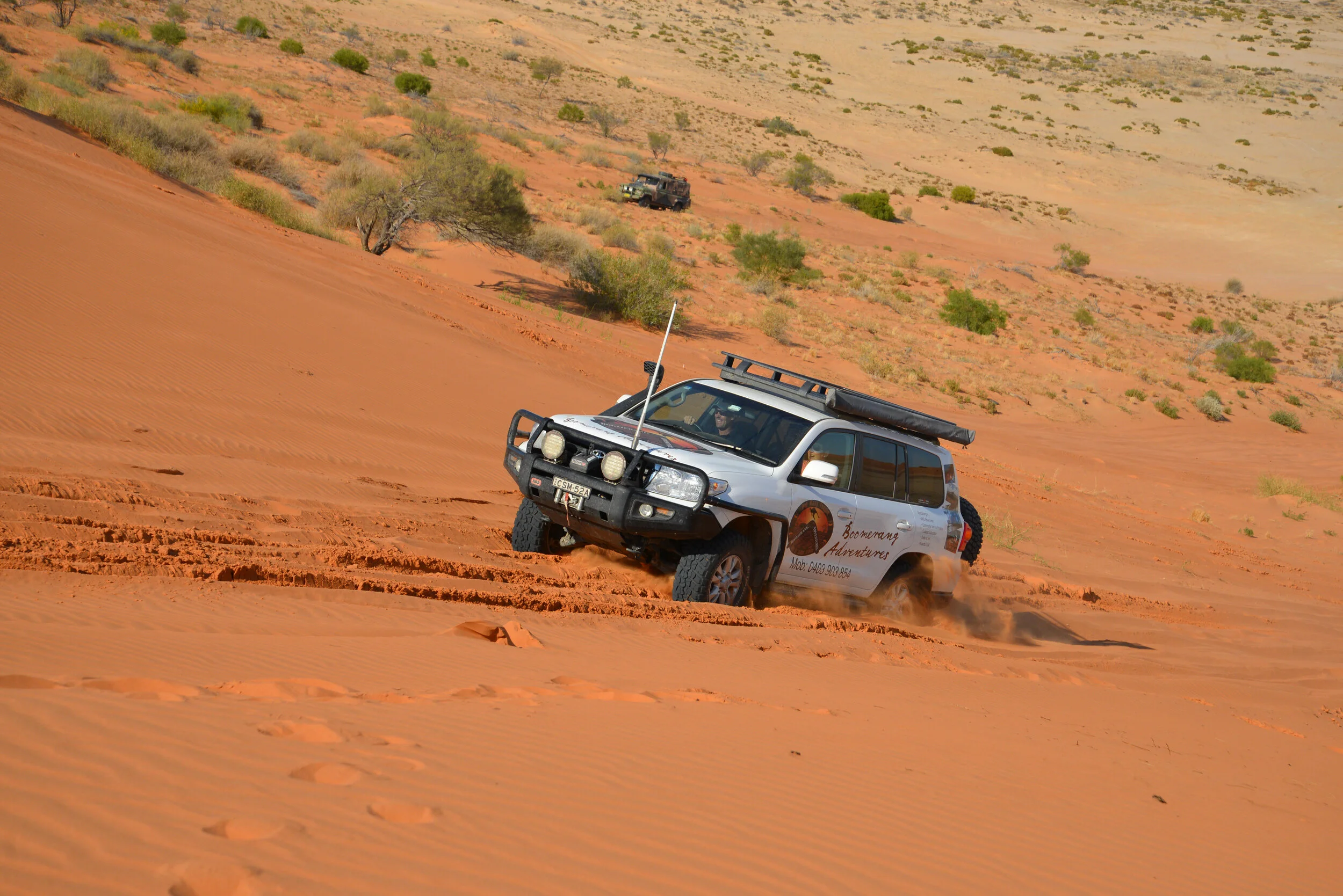 DSC_8382.jpg