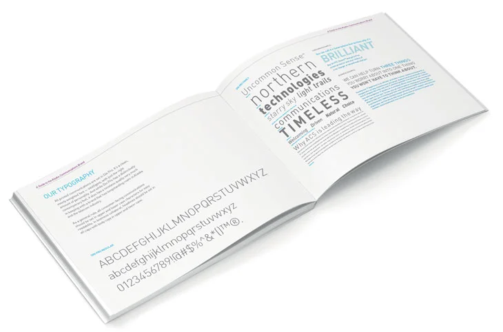 AKCS1980_CorpBranding_Style_Guide_2-3.jpg