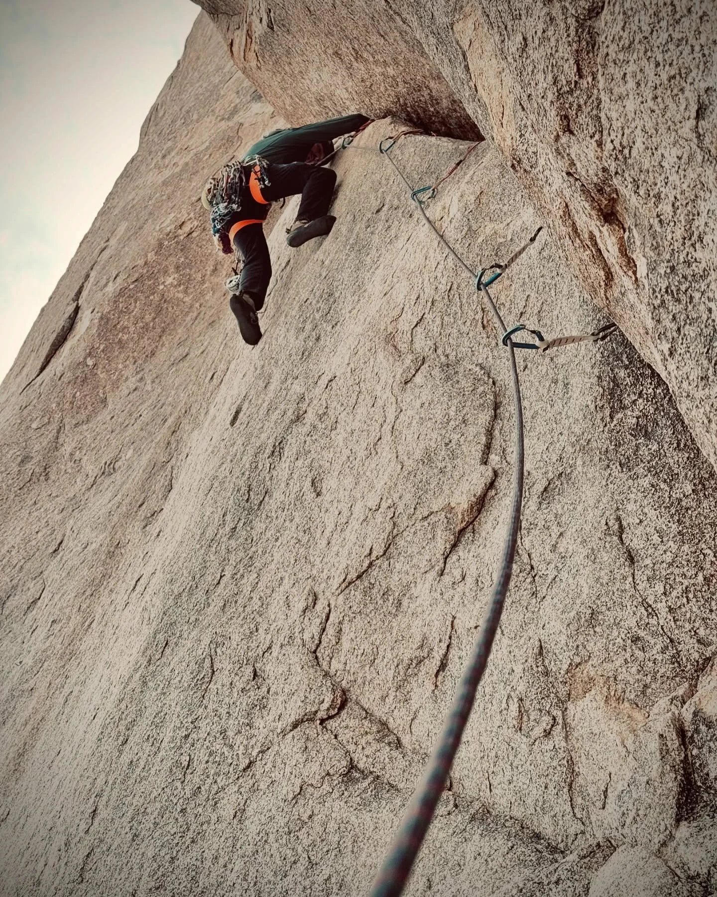 First Josh of the season!