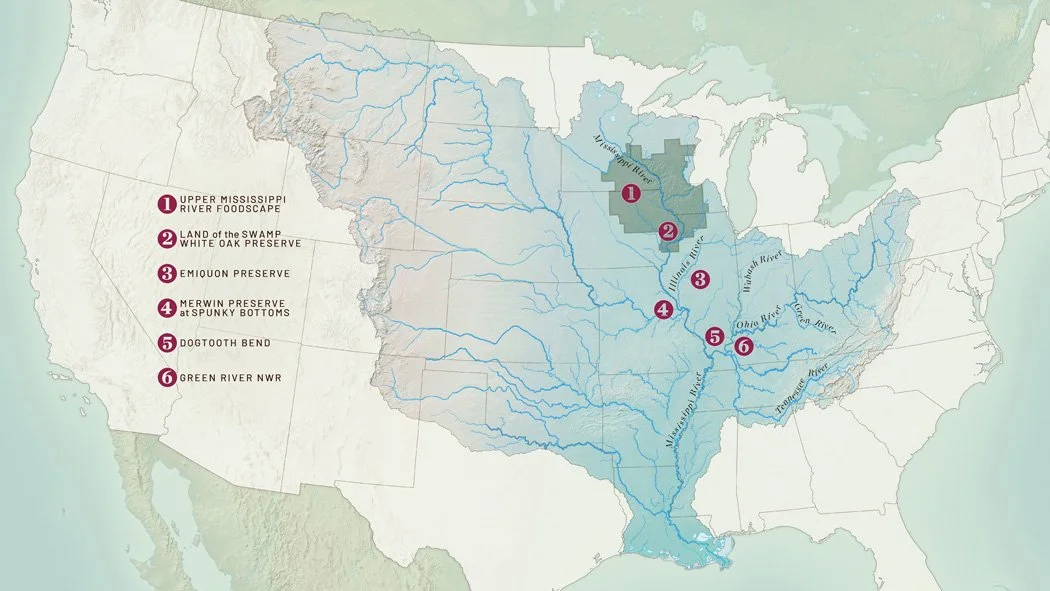MaxDolberg_TNC_GIS_Cartography_Mississippi_1.jpg