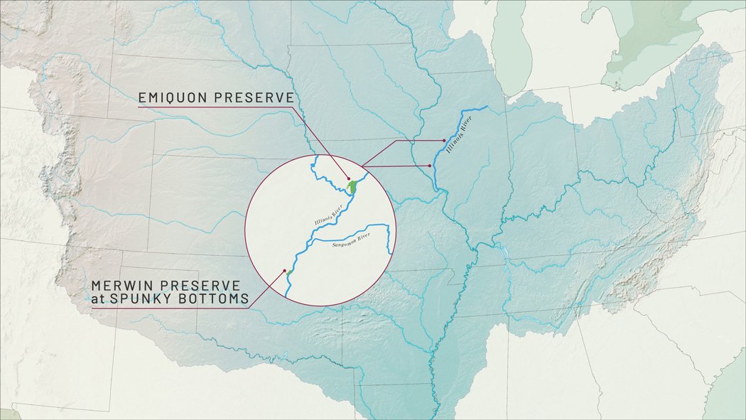 MaxDolberg_TNC_GIS_Cartography_Mississippi_2.jpg
