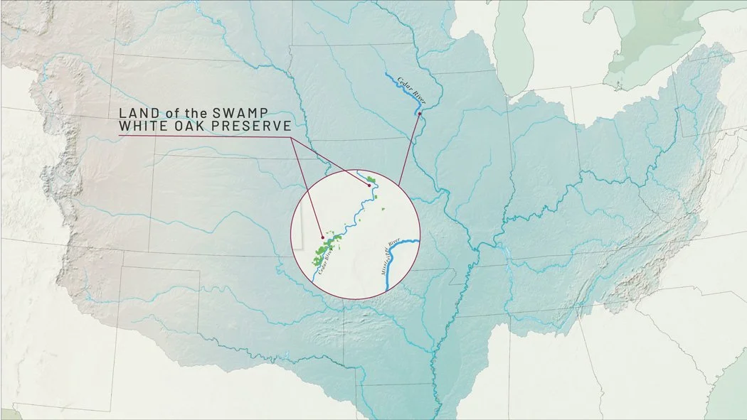 MaxDolberg_TNC_GIS_Cartography_Mississippi_3.jpg