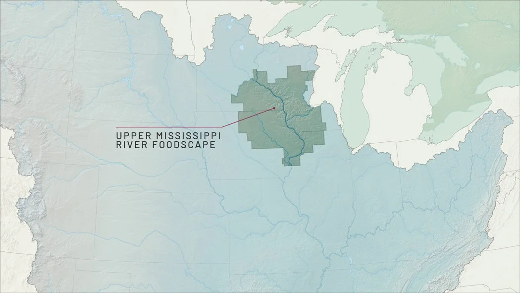 MaxDolberg_TNC_GIS_Cartography_Mississippi_4.jpg