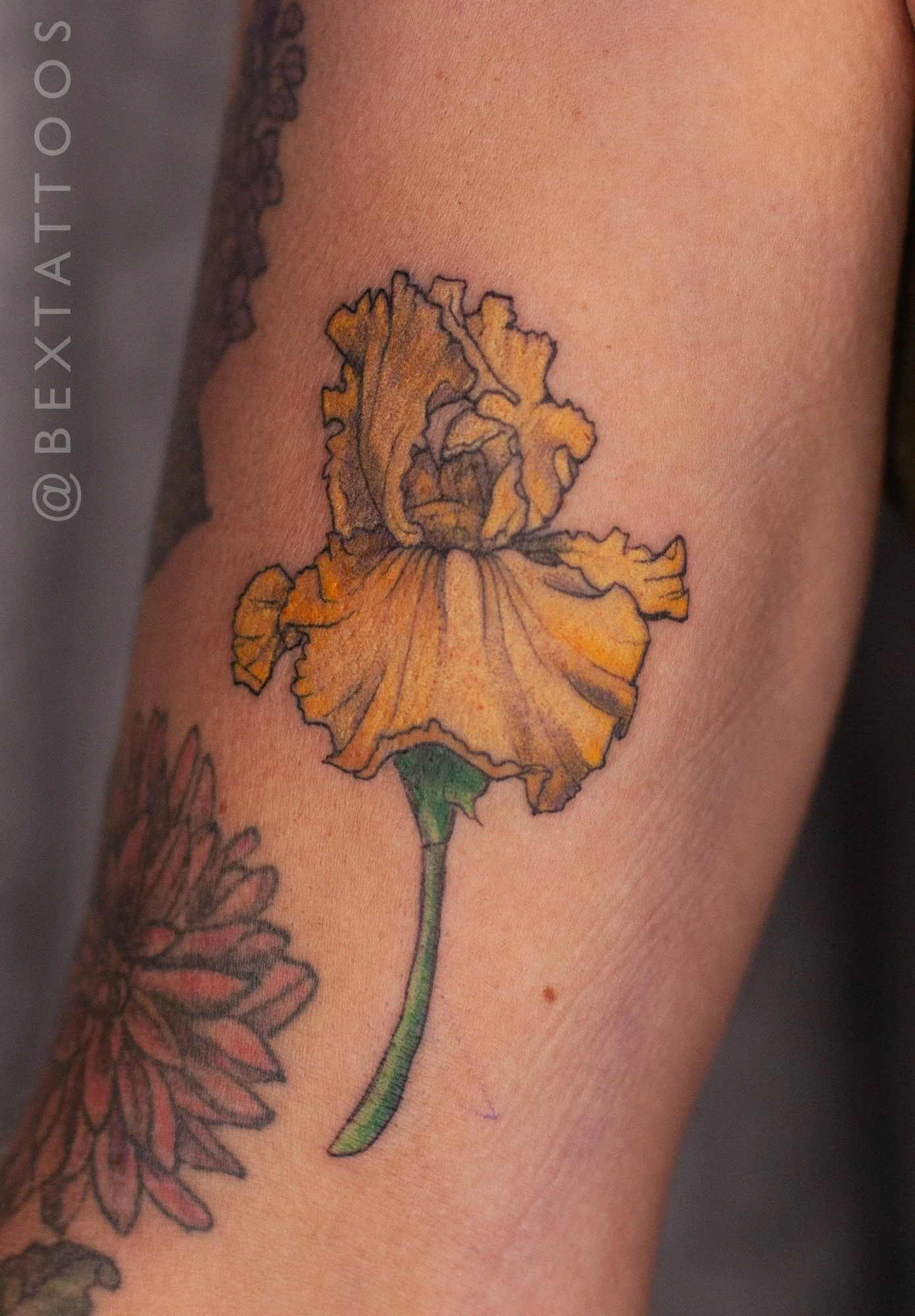 Oak Iris Tattoo