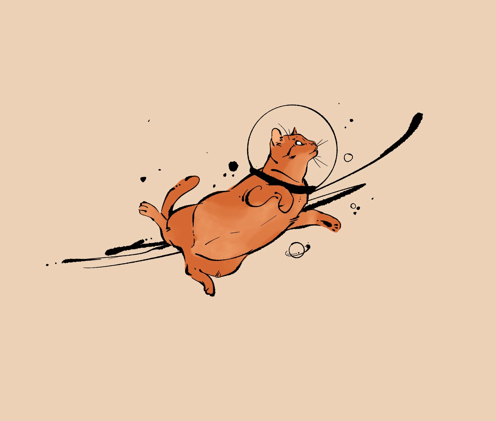 major tom cat-xlight.jpg