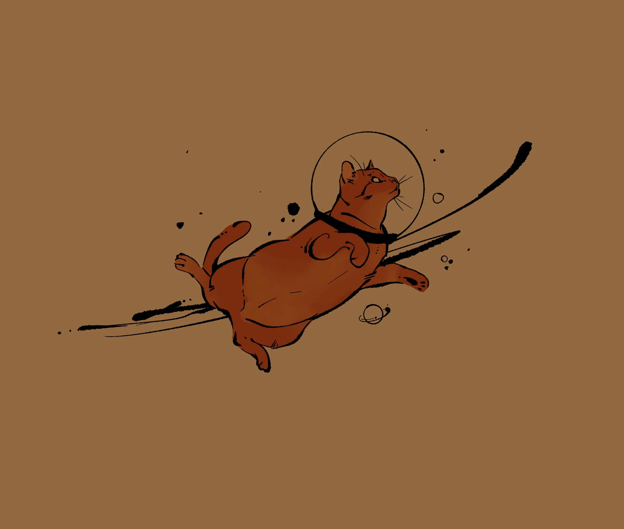 major tom cat-dark.jpg