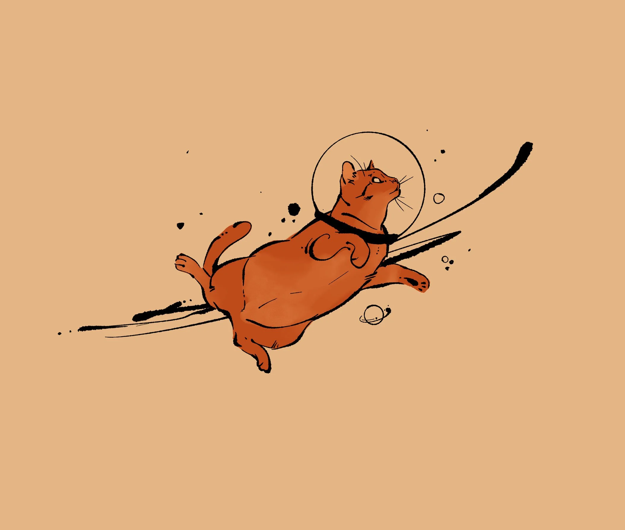 major tom cat-light.jpg