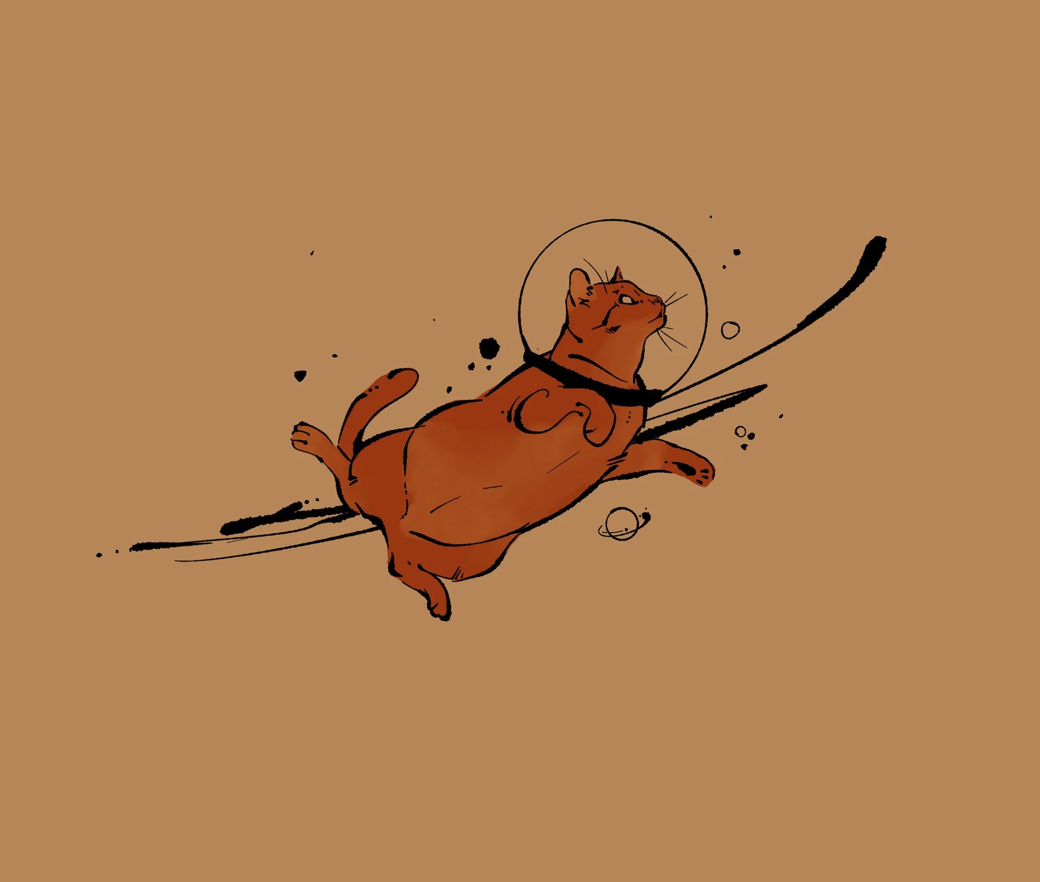 major tom cat-med.jpg