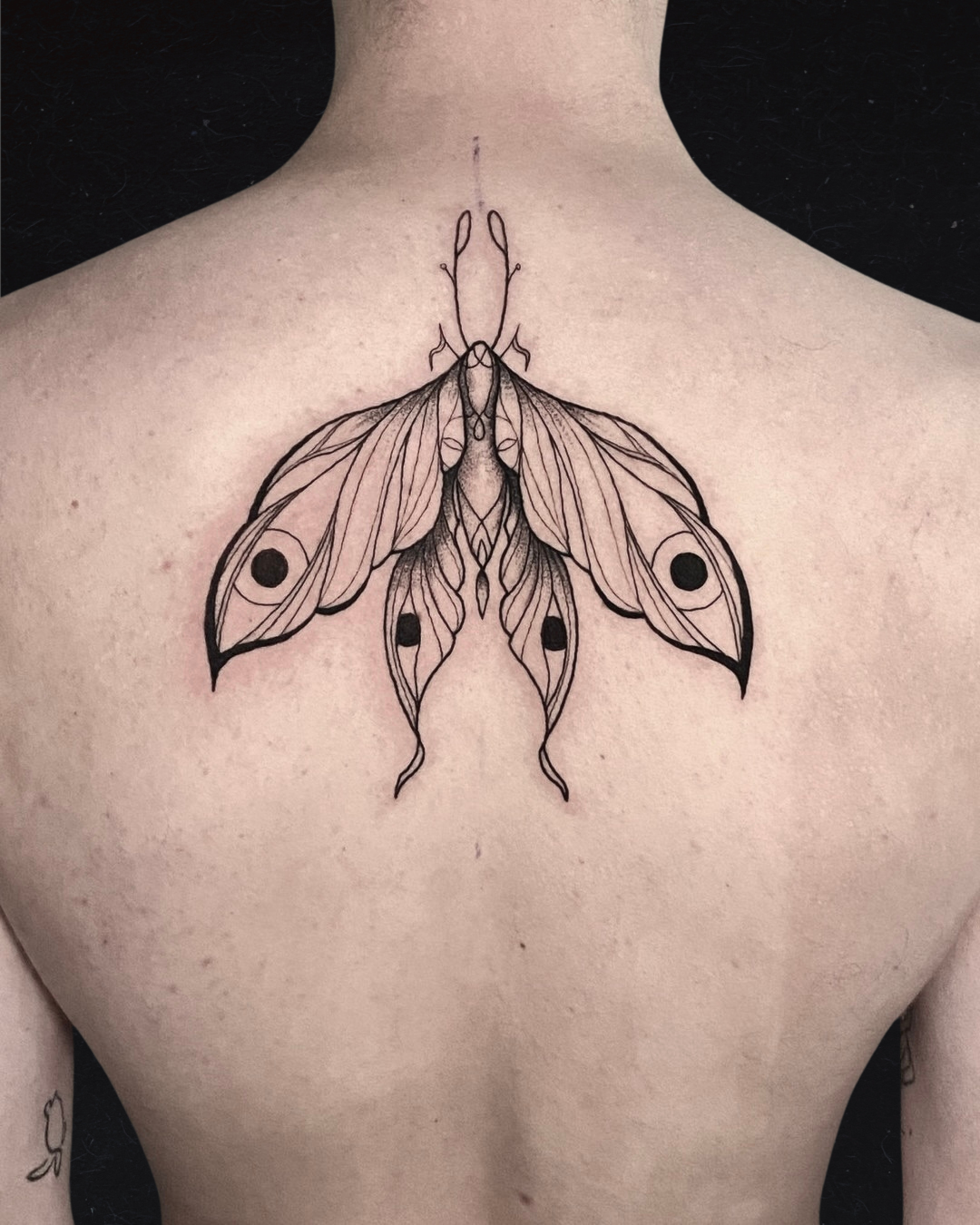 Moth Tattoo Back Tattoo Ideas 
