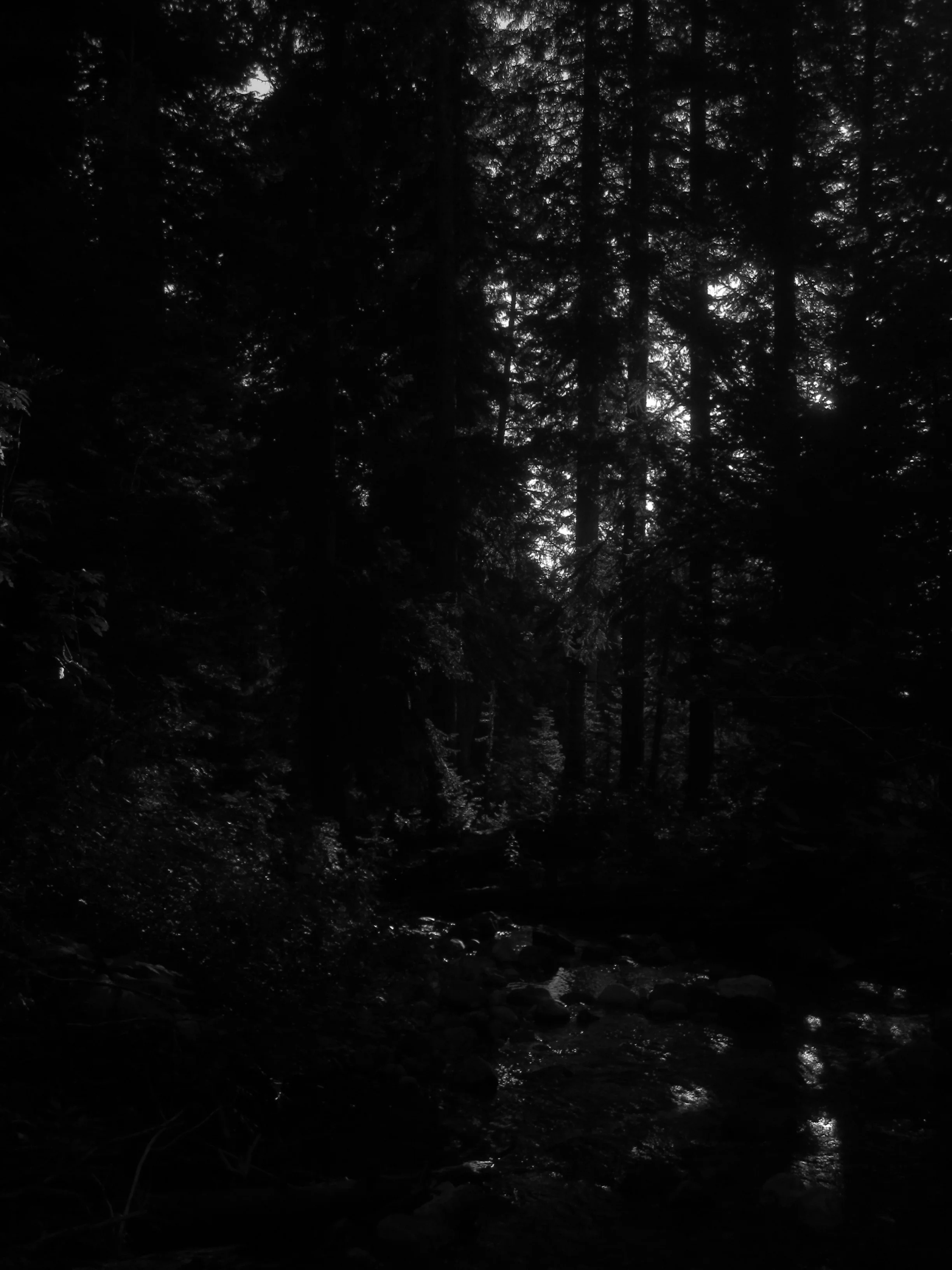 Teton Canyon Shadow Light with Sons.JPG