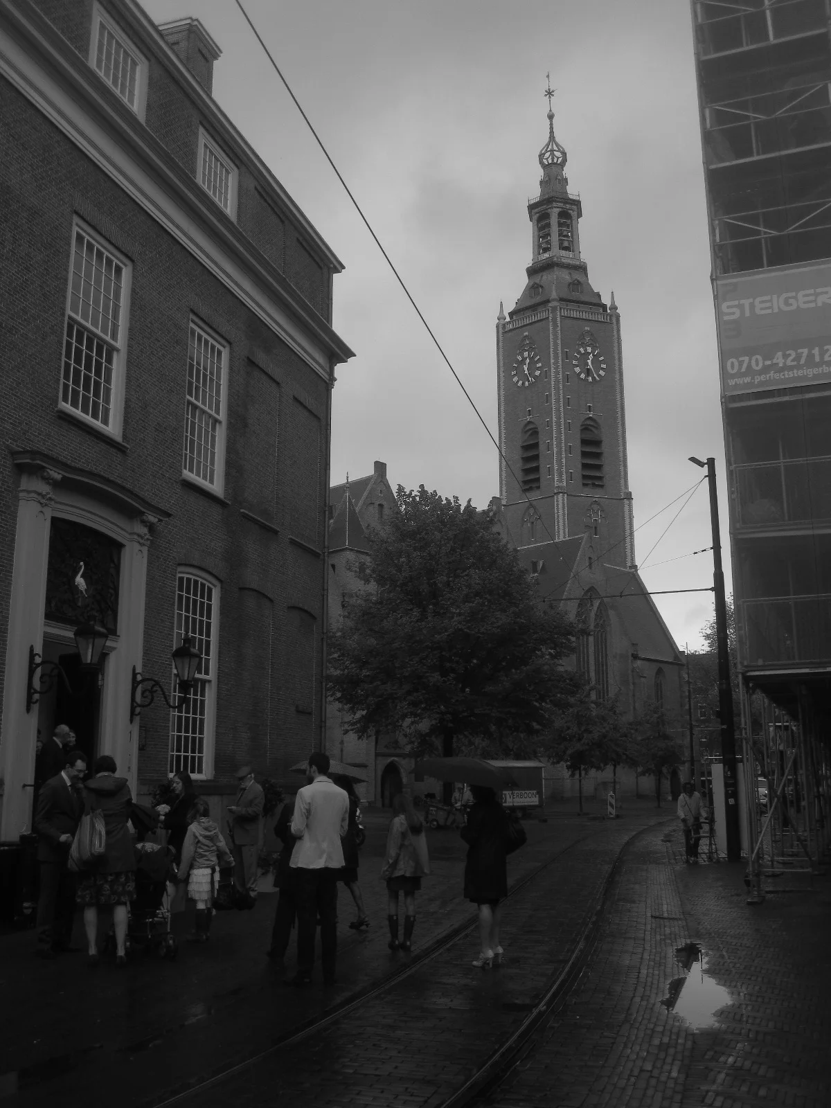 IMG_7633.jpg