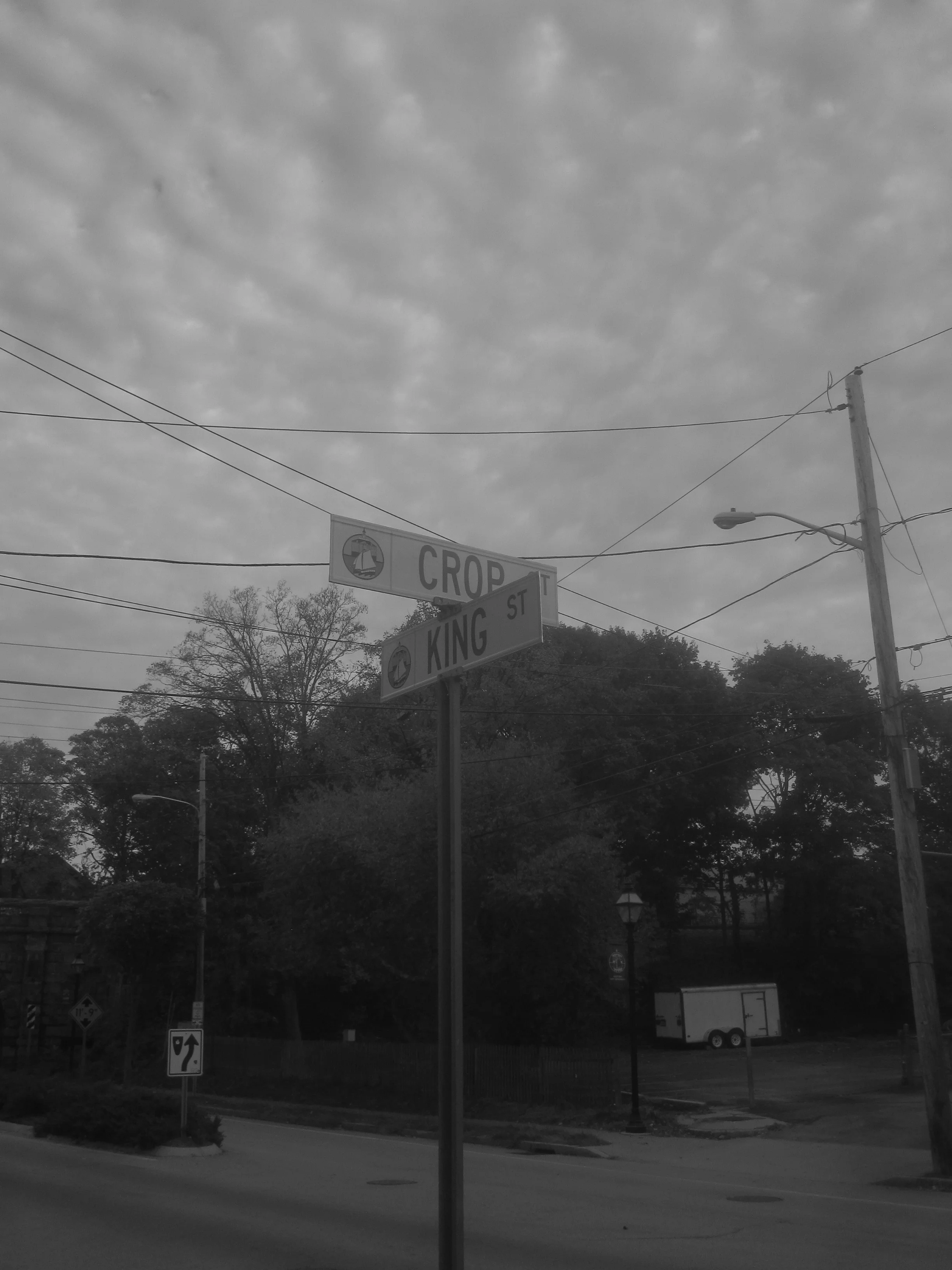 Crop King.JPG