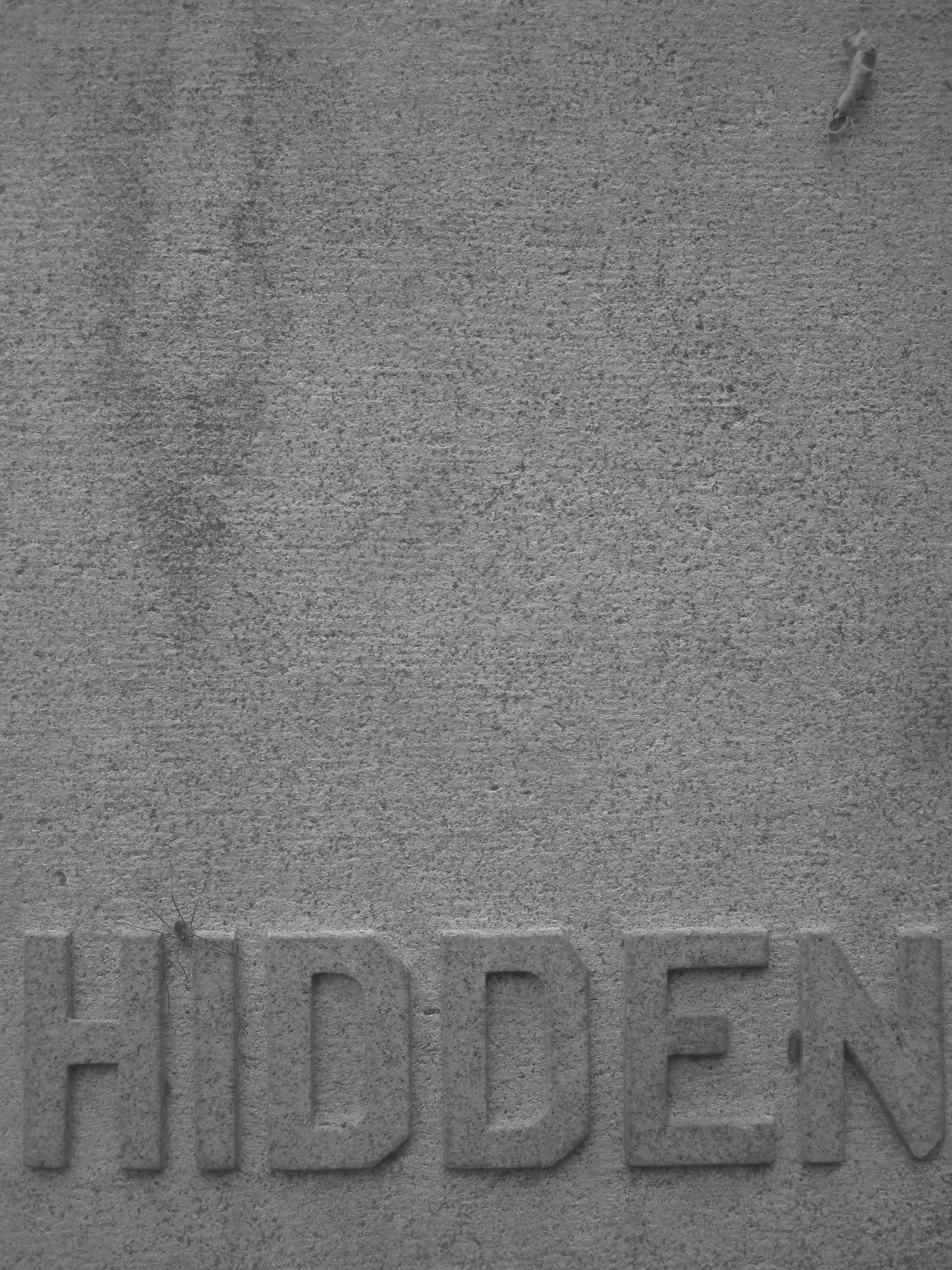 Hiding to the Grave copy.jpg